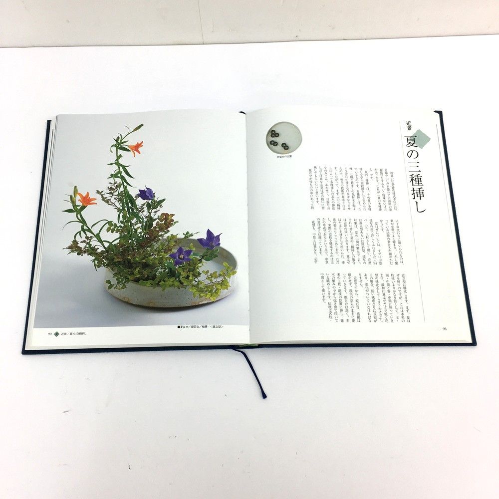 新版 小原流 様式集成 本 小原規容子 生け花 写景盛花 色彩盛花