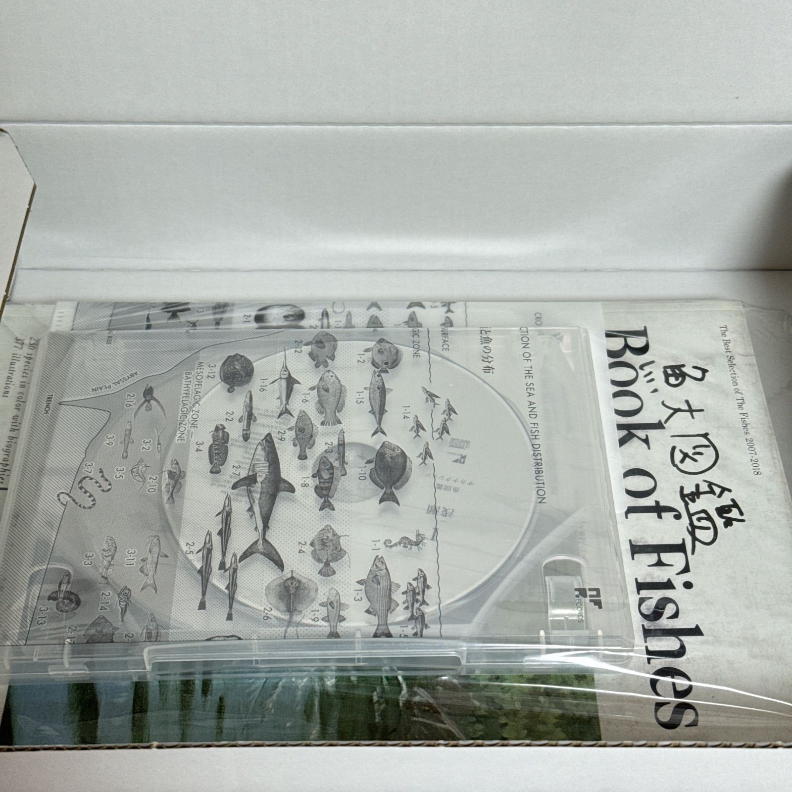 サカナクション 魚大図鑑 Book of Fishes CDセット サカナクション