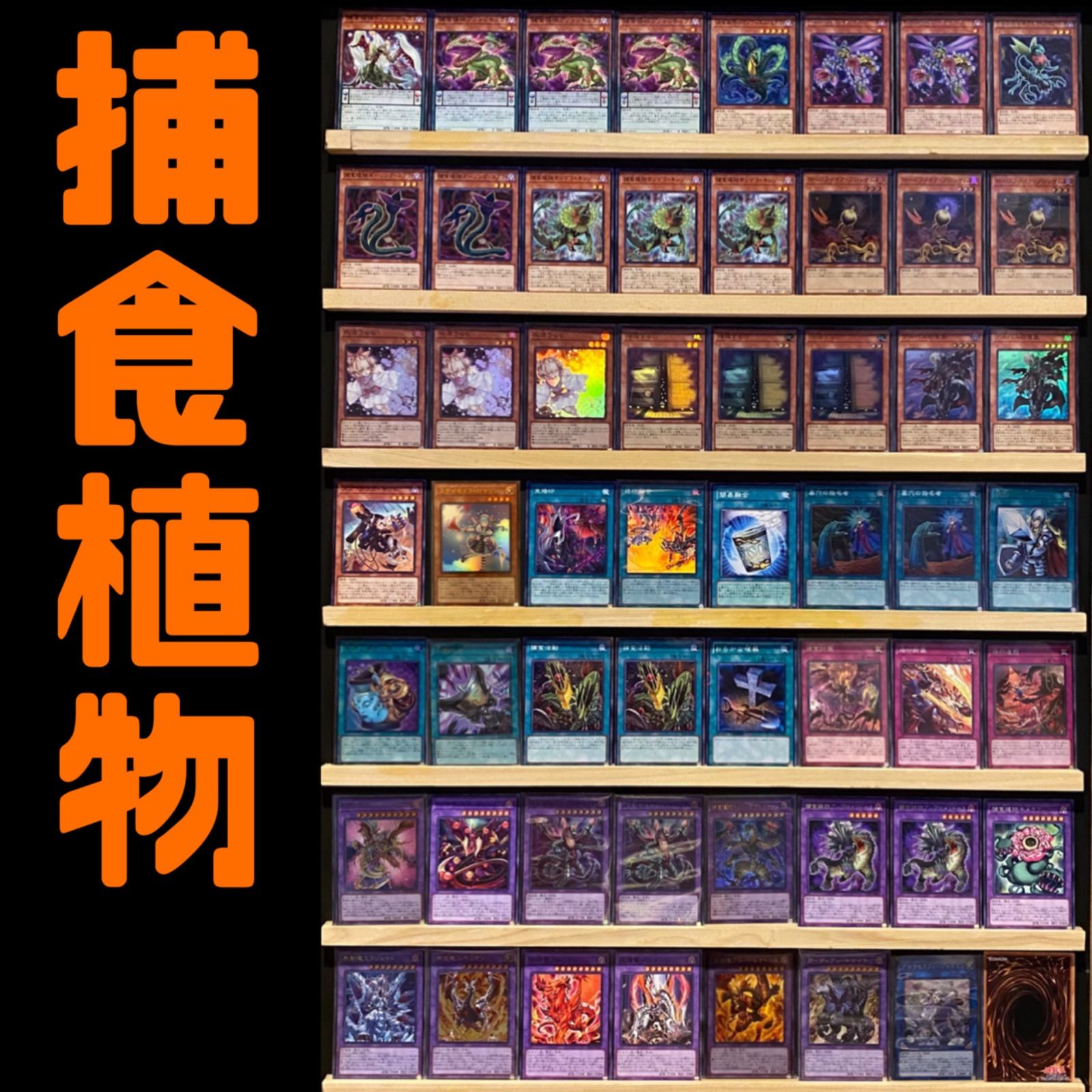 大会向け 捕食植物 構築済みデッキ 遊戯王 プレデタープランツ - メルカリ