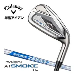 2026年最新】 パラダイム アイアン 5 単品の人気アイテム - メルカリ