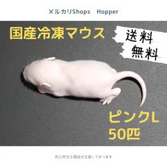2026年最新】冷凍マウスの人気アイテム - メルカリ