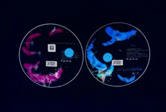 2026年最新】GARNET CROW first kaleidscopeの人気アイテム - メルカリ