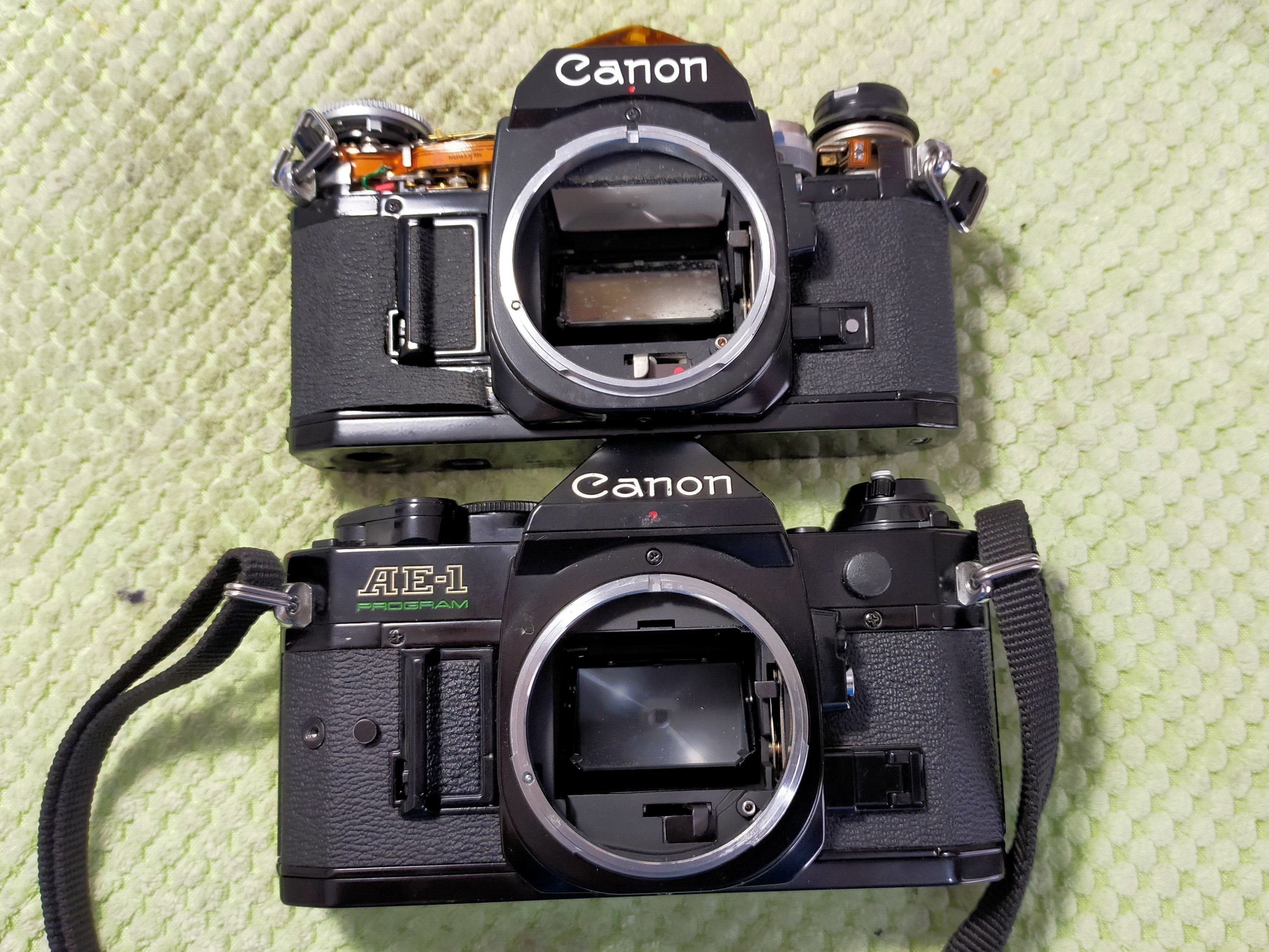 Canon AE-1 プログラムの電池蓋交換｜フィルムカメラ修理のアクアカメラ