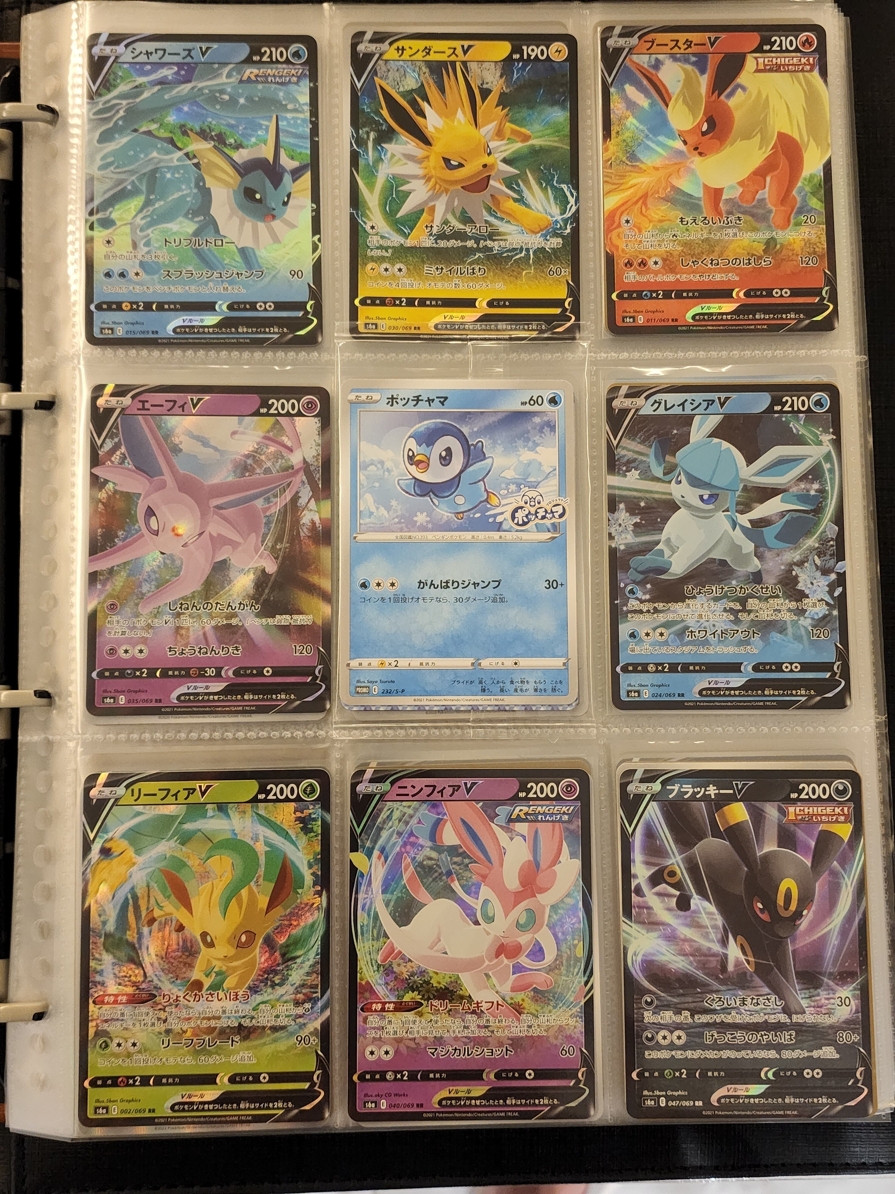 未開封プロモ】フルプロ？ローダー？透明パックの最適な保管方法｜モル