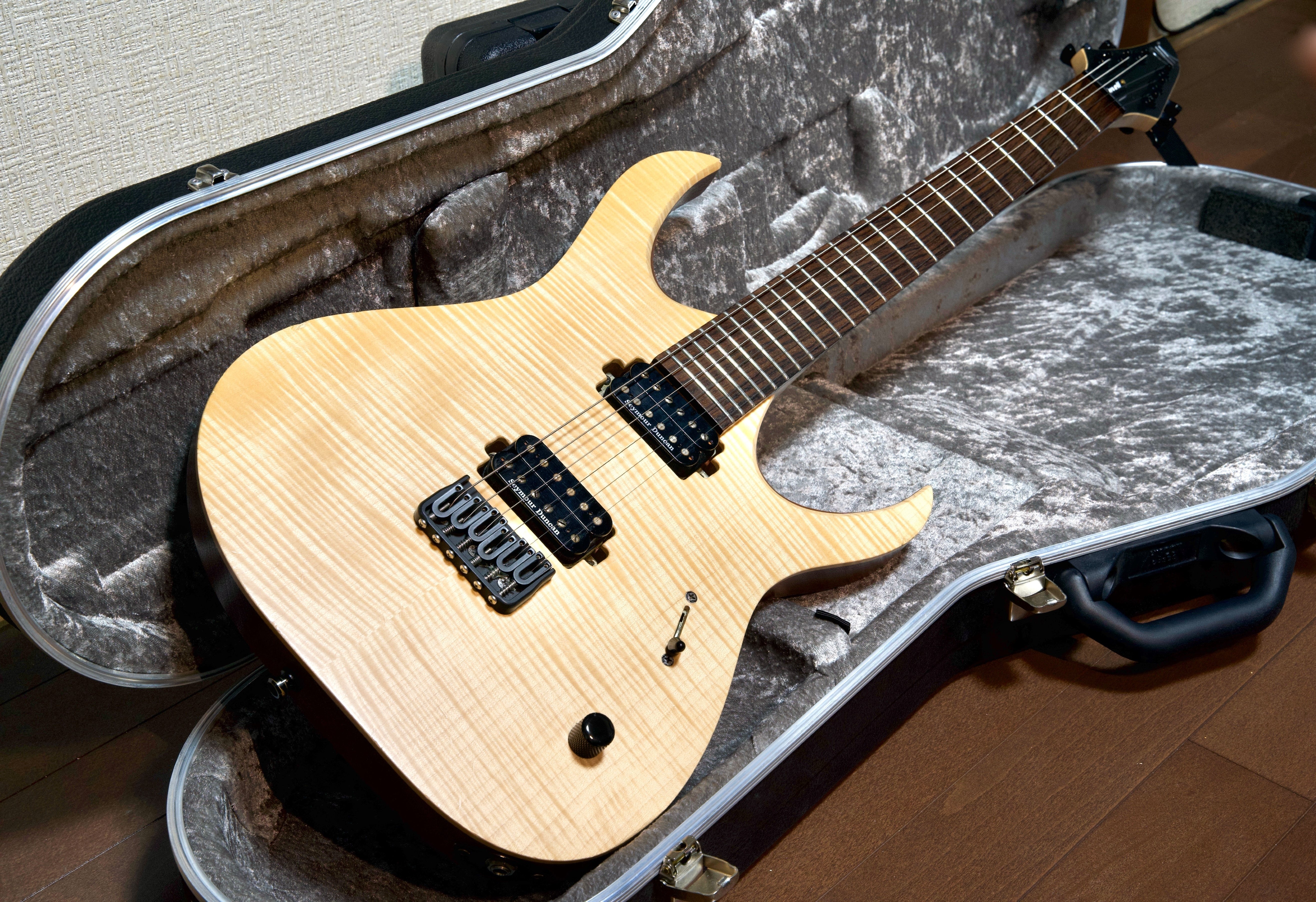 過去の所有ギターたち｜湊 Minato