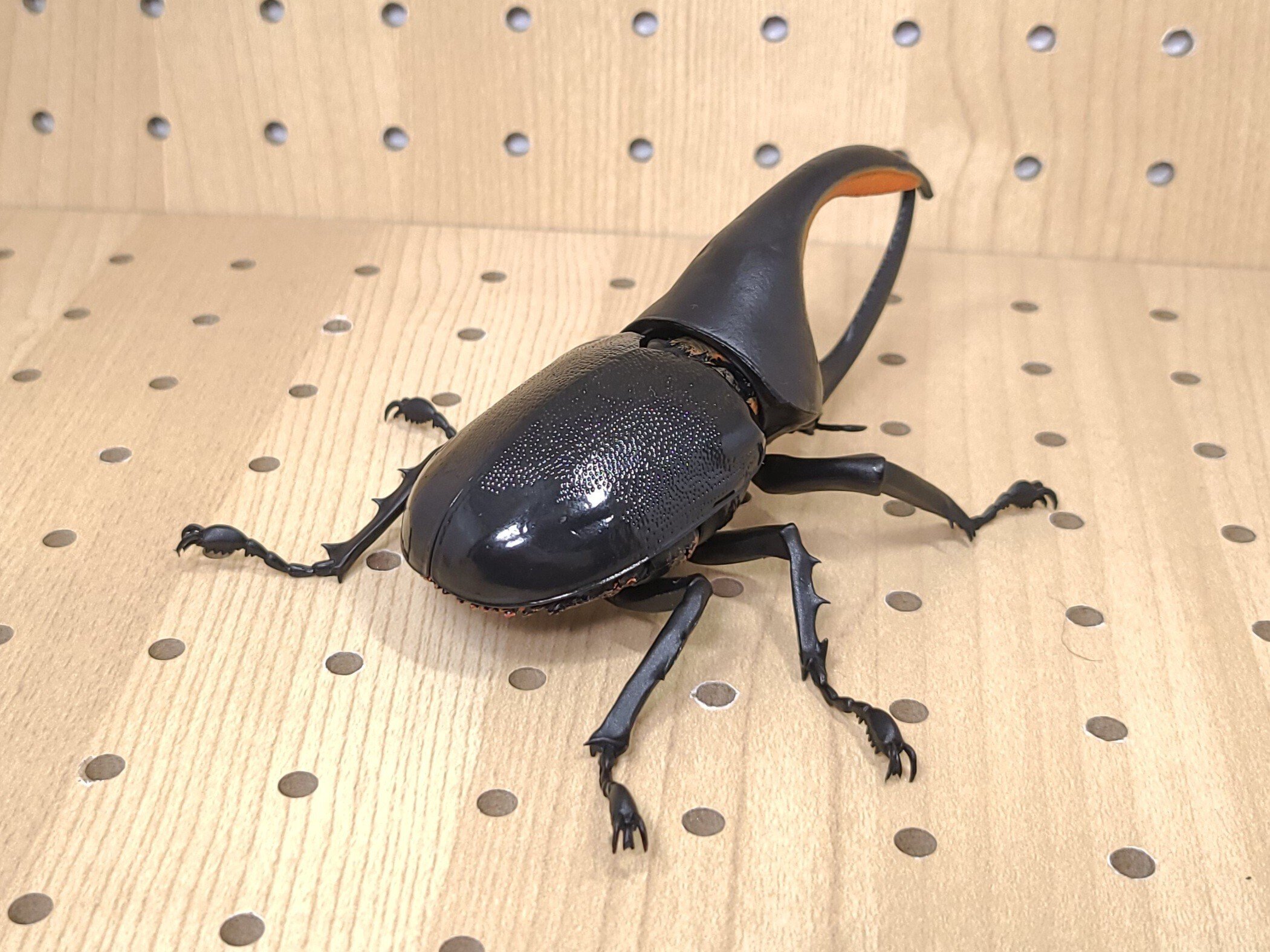 いきもの大図鑑 かぶとむし05 レビュー｜ウンウンペンチウム