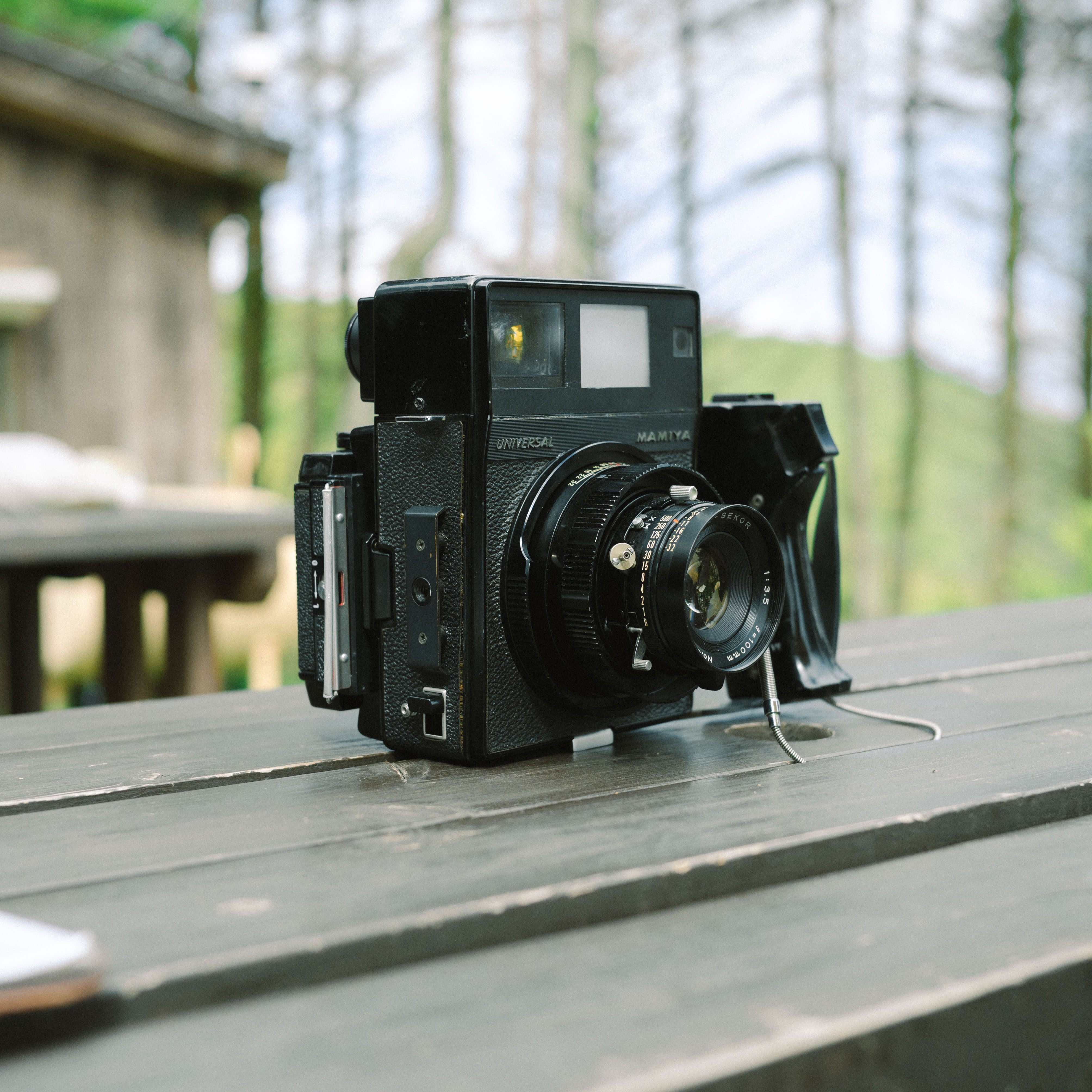 マミヤユニバーサルプレスの描写力｜松千代