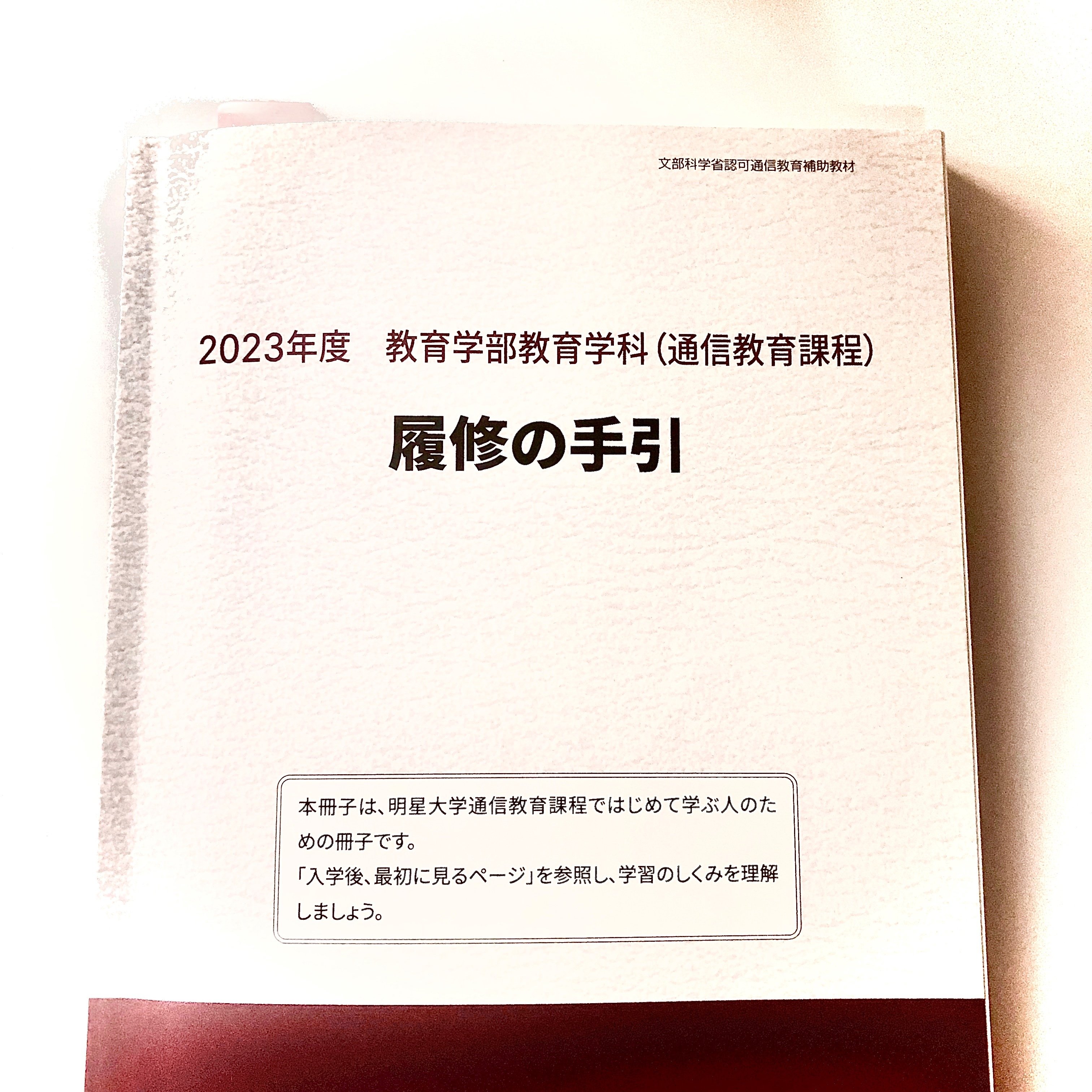 明星大学 入学費用を公開！｜ばっつもさっちも🦇【教員からライターへ】