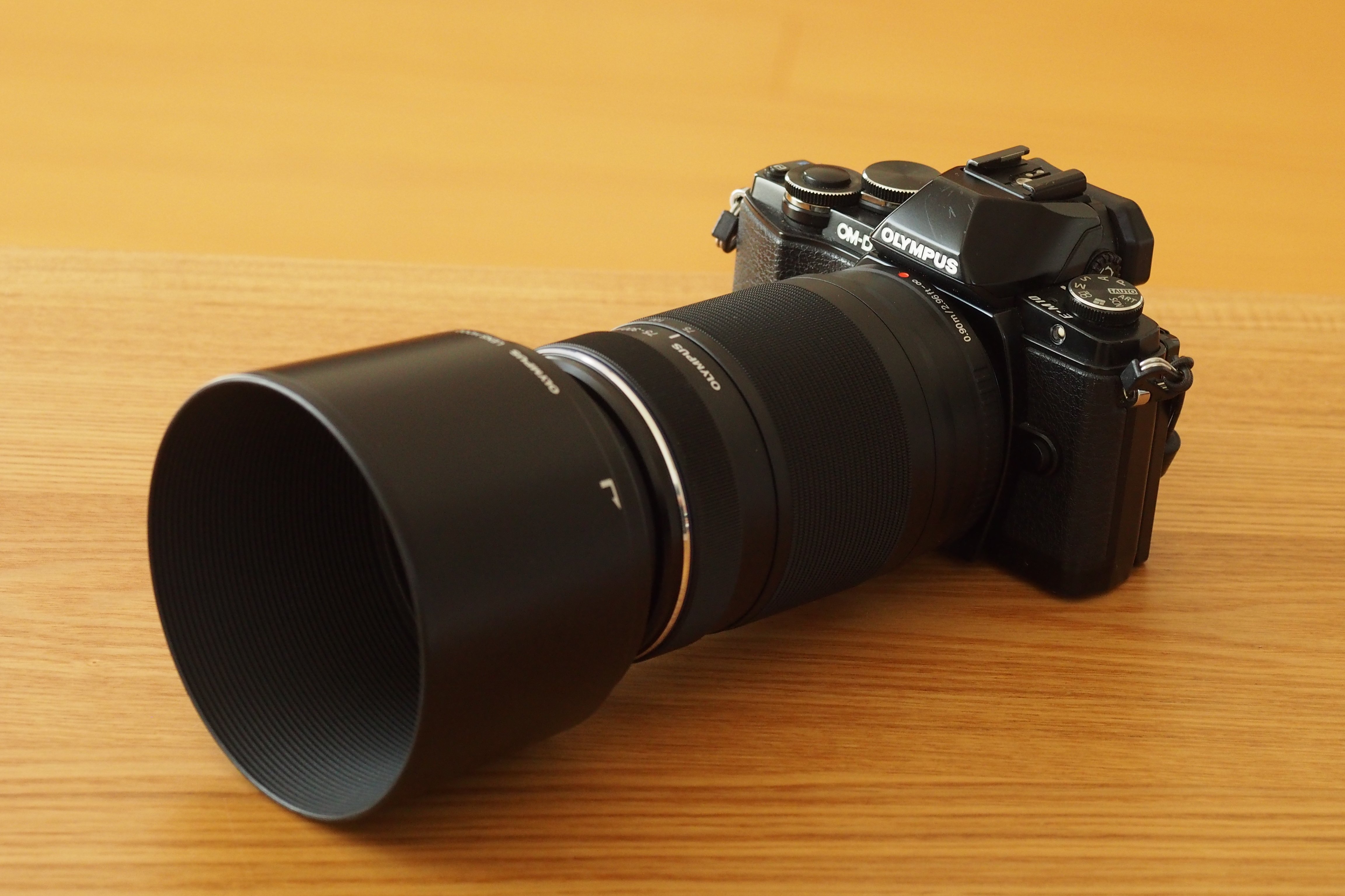 散歩のお供の野鳥撮影レンズ｜M.ZUIKO DIGITAL ED 75-300mm F4.8-6.7