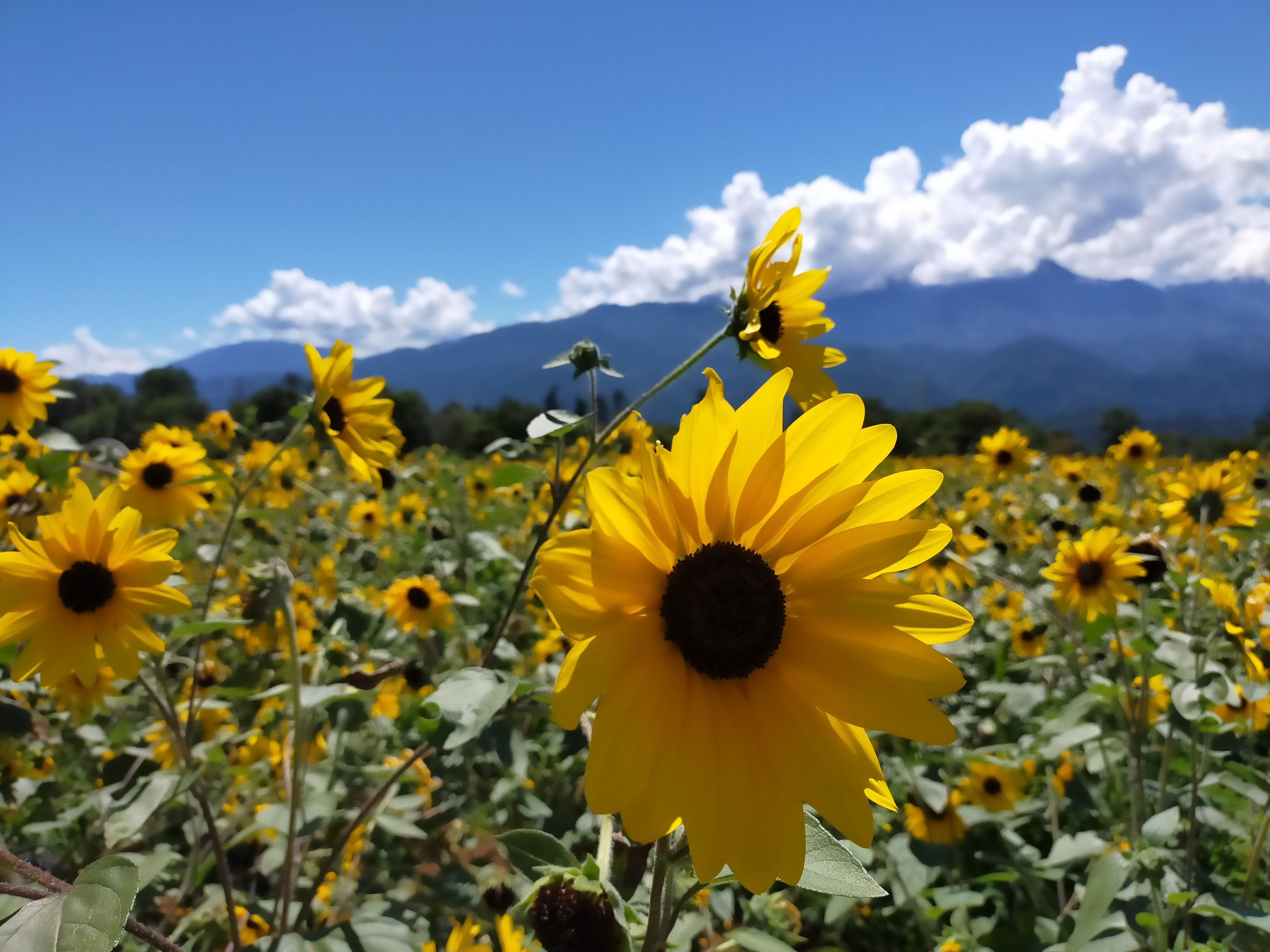 山梨ラジウム温泉増富の湯のこととか｜朝倉寸々六