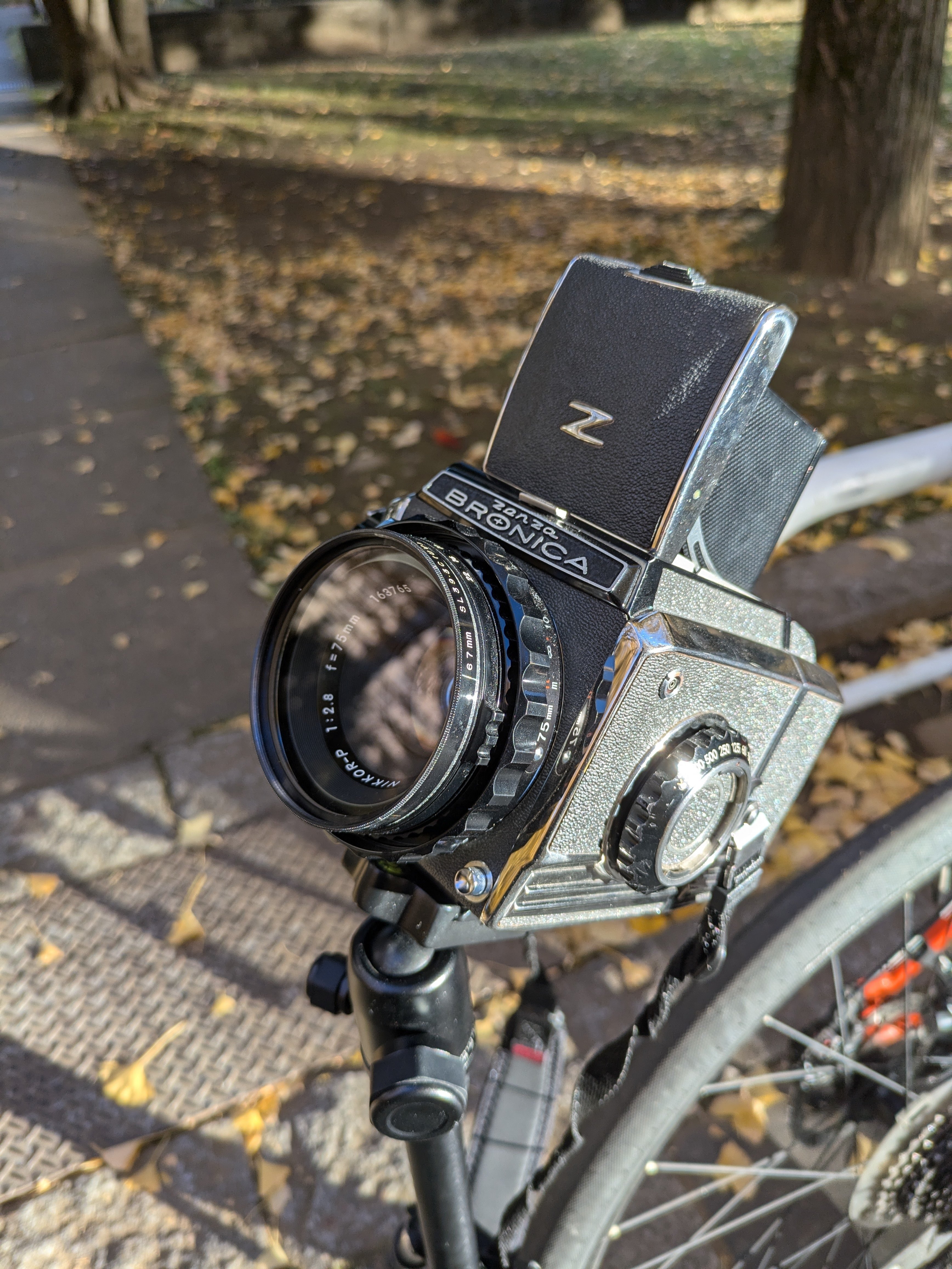 初めて買うフィルムカメラに中判カメラを選んだ話｜たぬきふとん