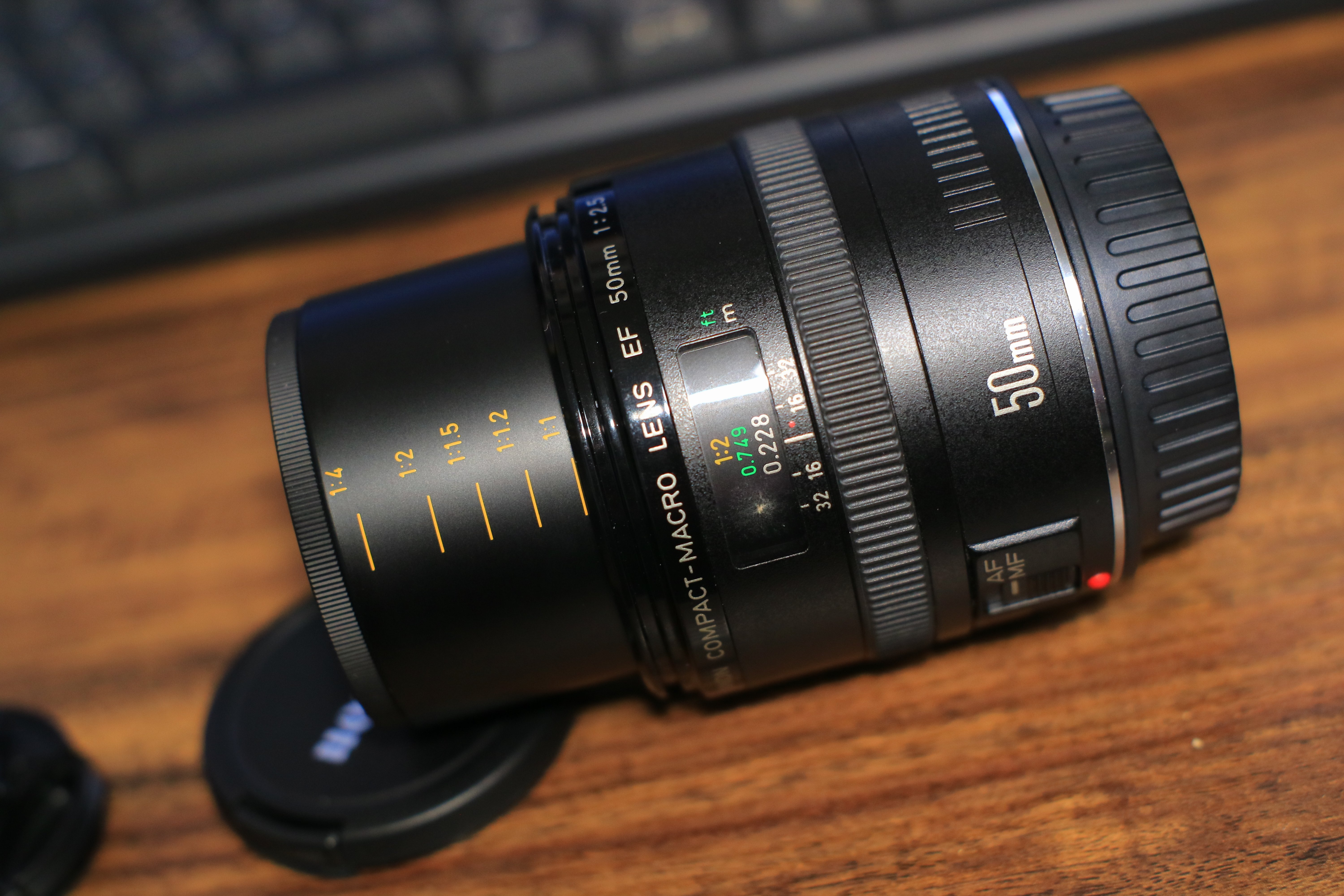 mayuriとレンズぬま *第四十本* EF50mm F2.5 コンパクトマクロ｜mayuri