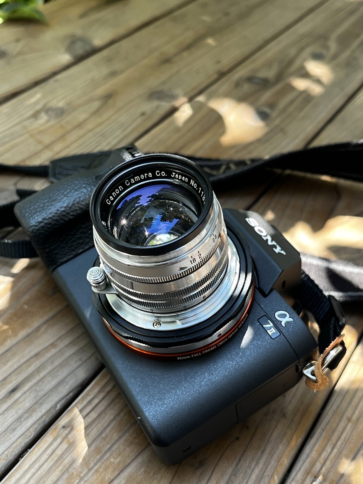 34．70年前の澄んだレンズ…畏るべし CANON(SERENAR) 50mm F1.8 I