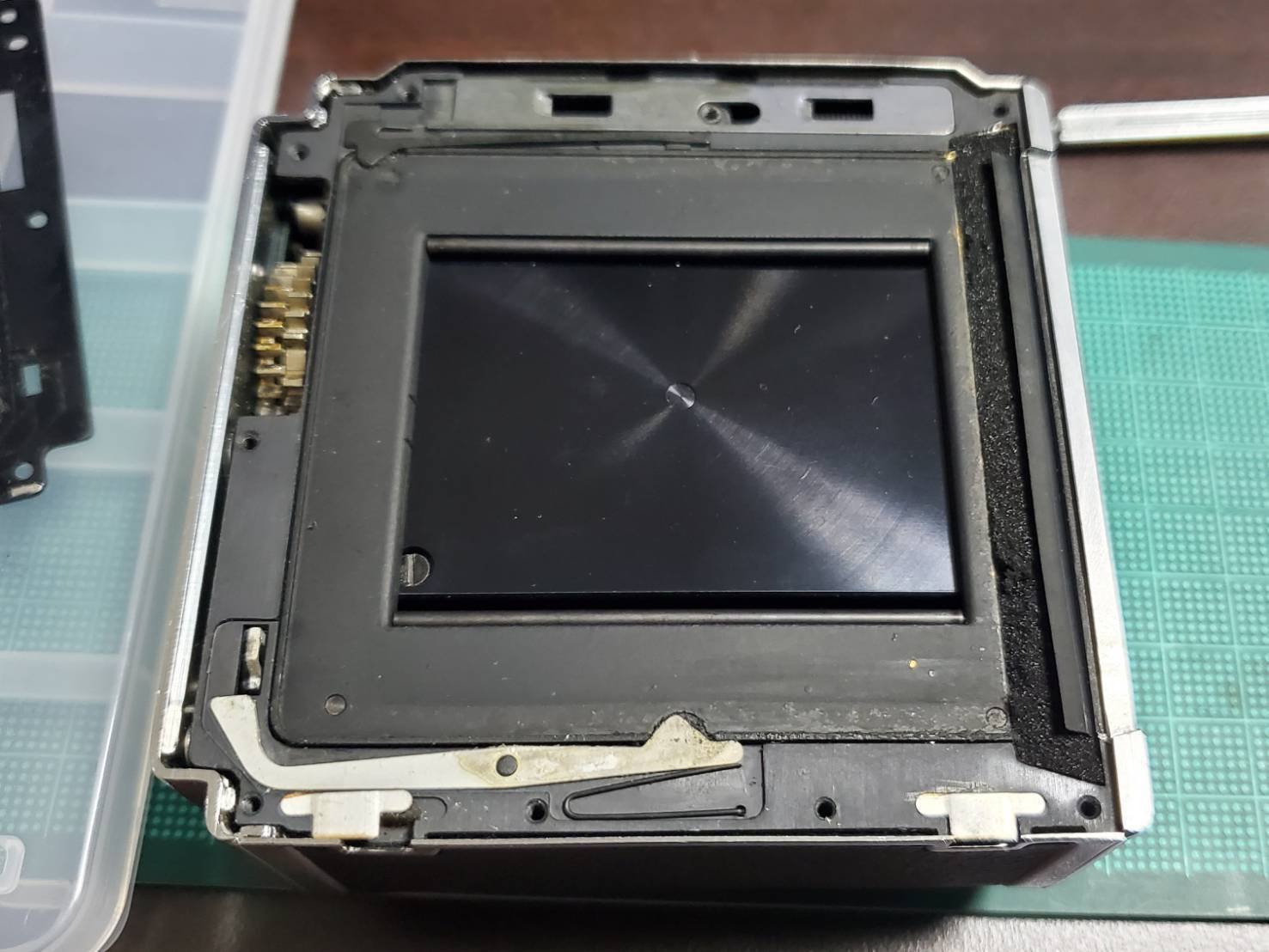 ハッセルブラッドA16マガジン購入……｜峰海なまこ