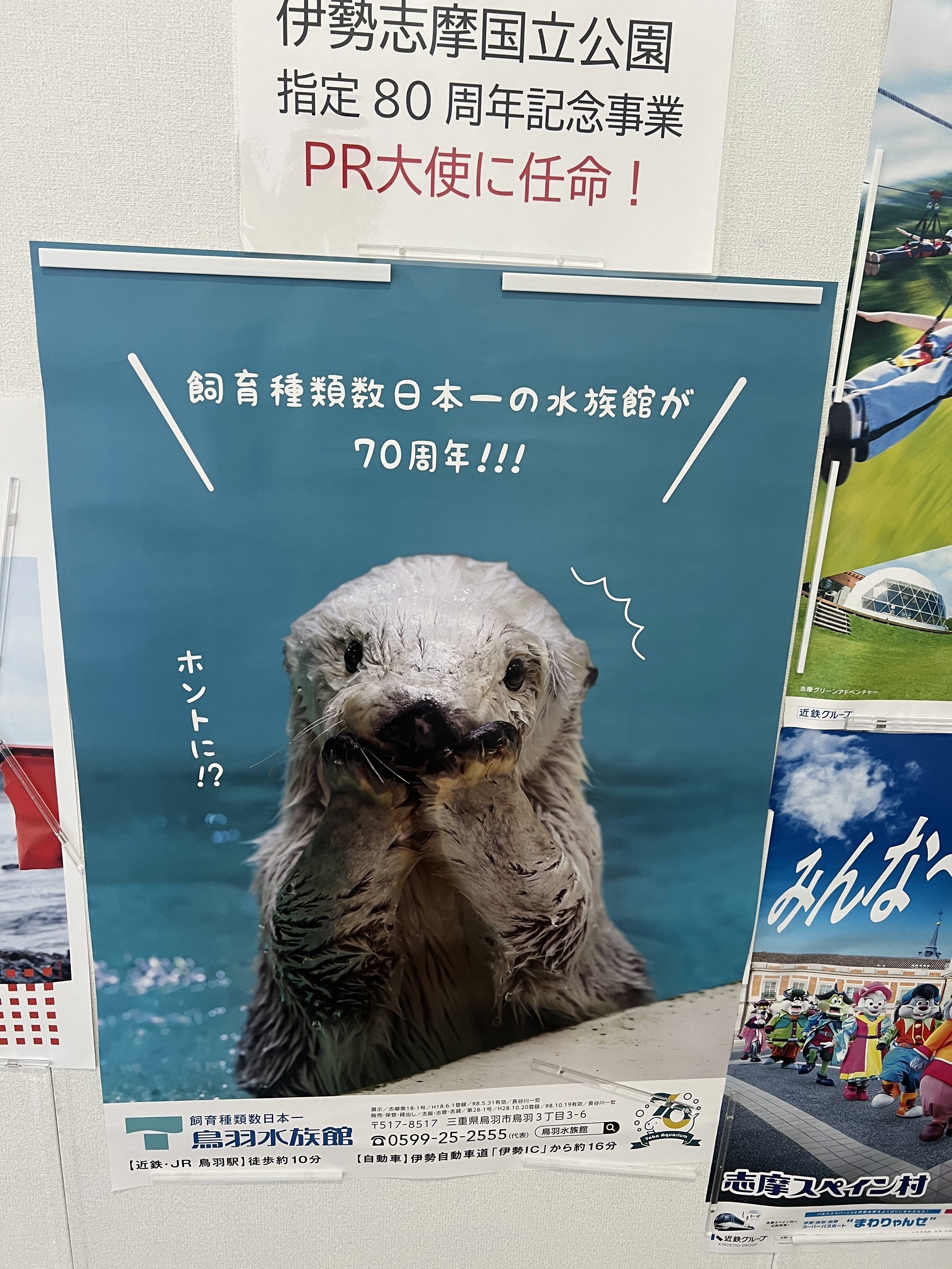 ラッコを見に鳥羽へいってきました｜himekuri365