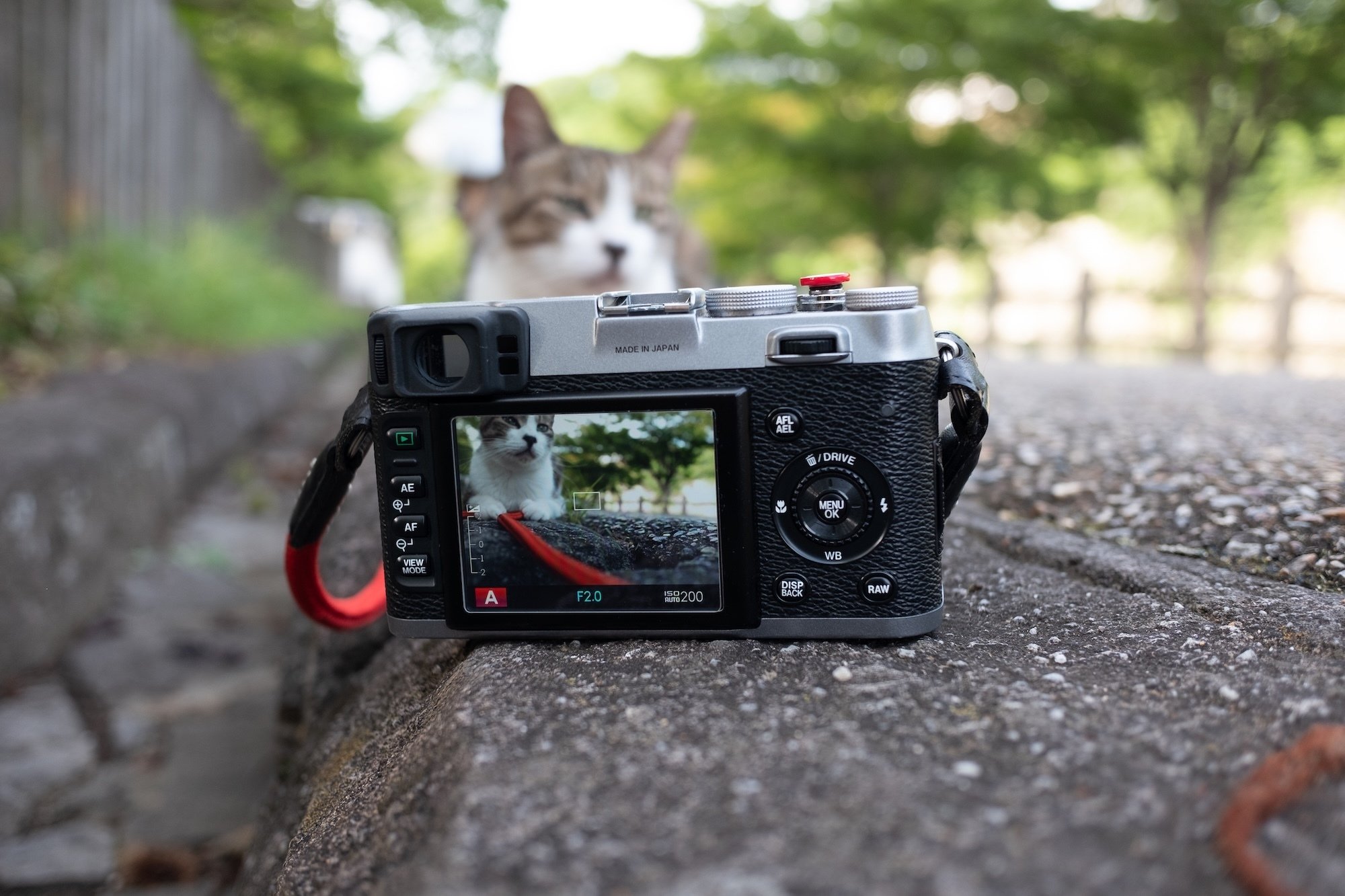 FUJIFILM初代X100は、本当にX100VIの先祖なのか？｜猫写真家 あおいとり