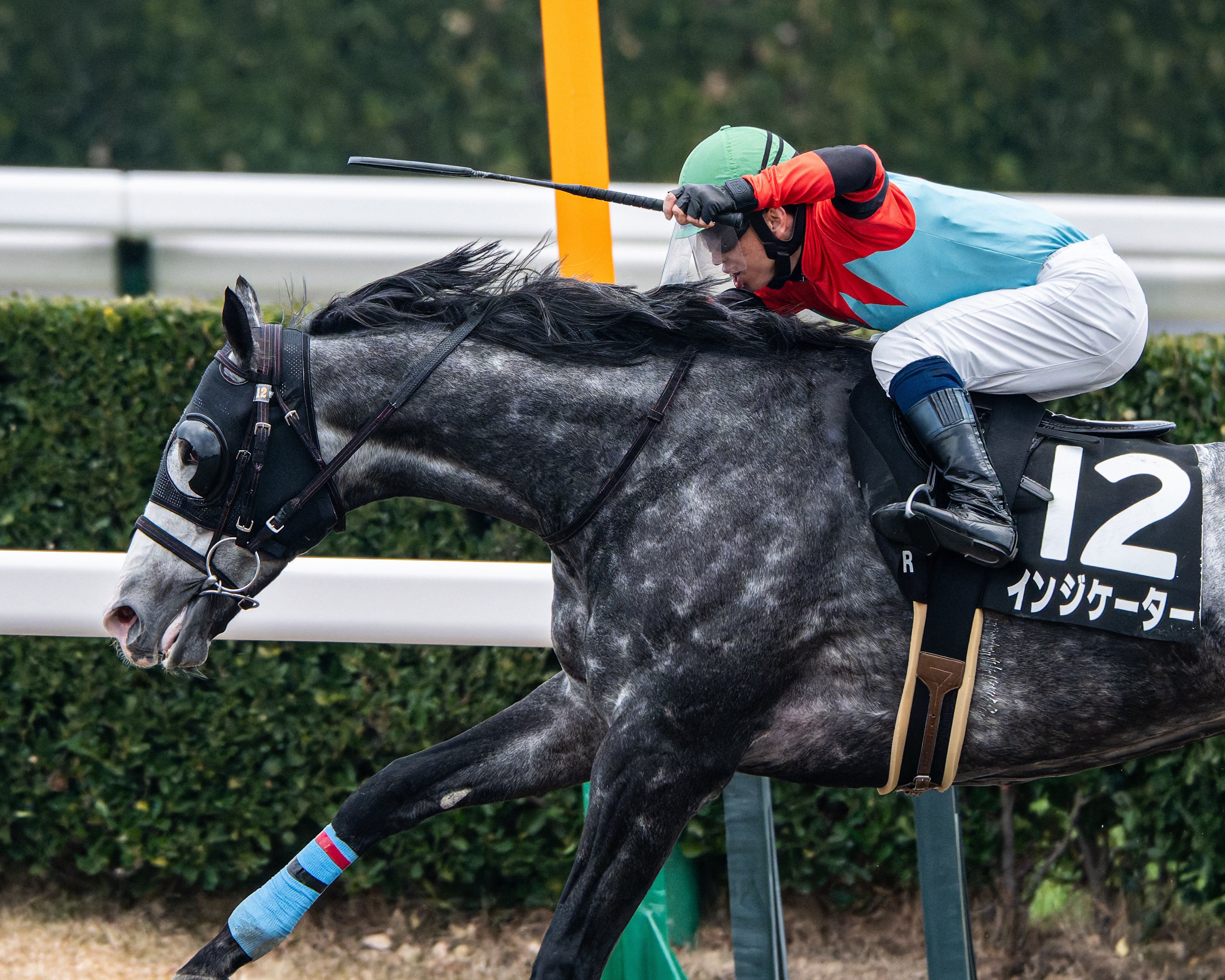 17 満を持して競馬撮影にNIKKOR Z 180-600mm f/5.6-6.3 VRを使う｜好き