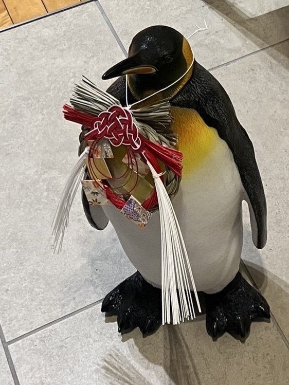 ペンギンとちゃんぽん｜Yuriex（ユリエックス）