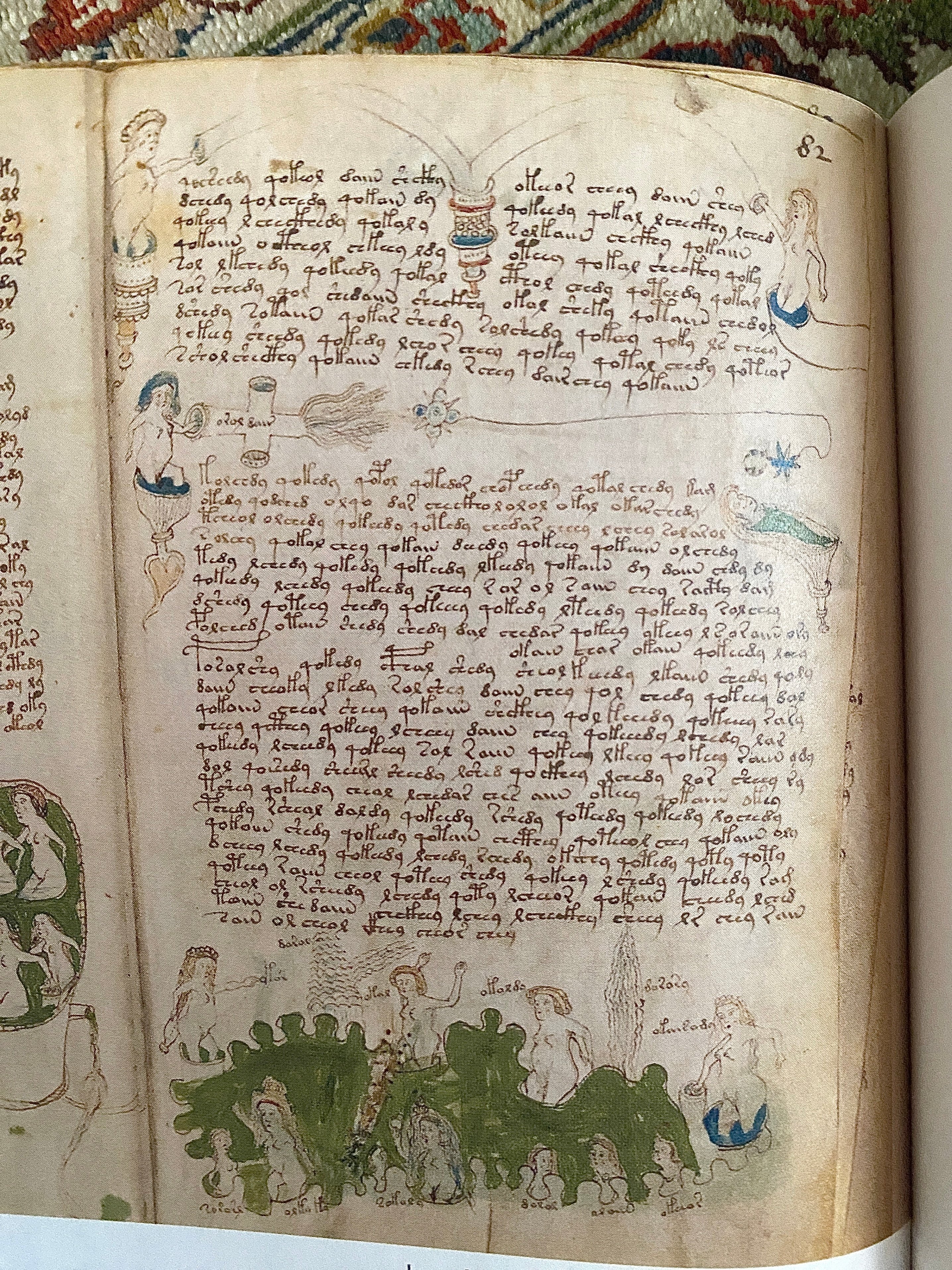 ヴォイニッチ手稿の秘密』 ーVoynich Manuscript｜Lulu's Cabinet