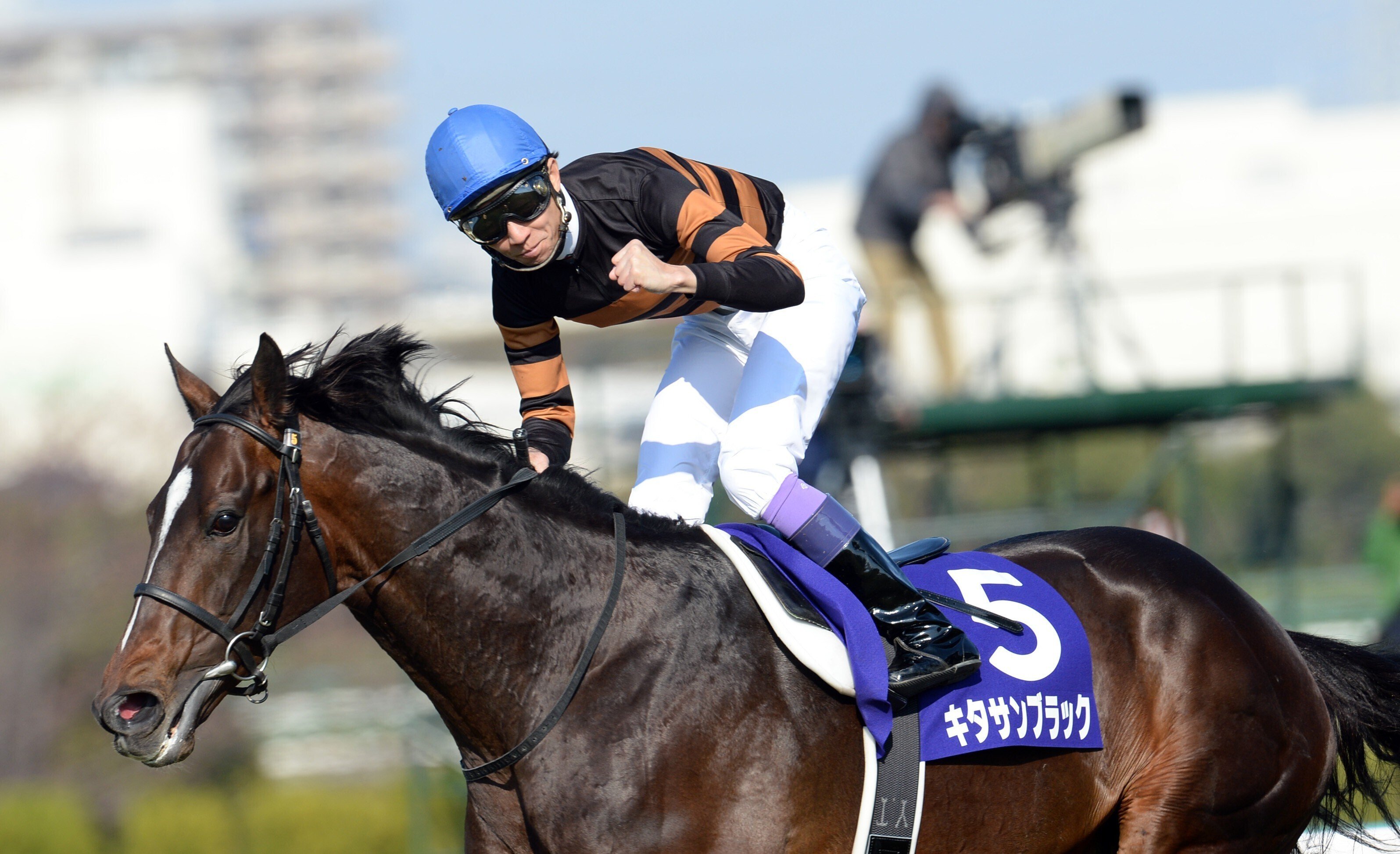 リベンジで膨らんだ夢 アニメ「ウマ娘」で描かれた天皇賞・春と直後の