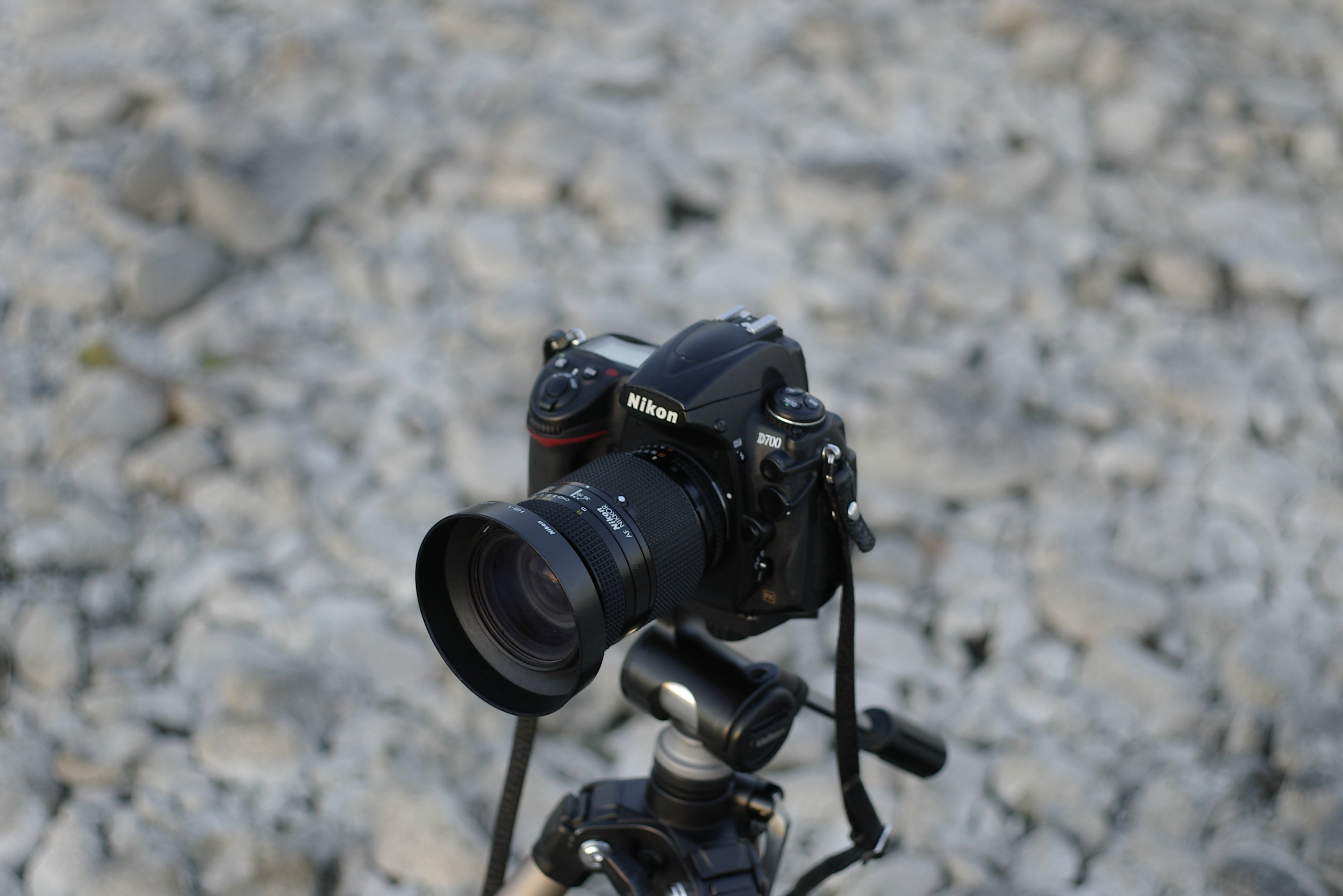 再びAF zoom NIKKOR 35-70mm f2.8D Nで。｜Sven.