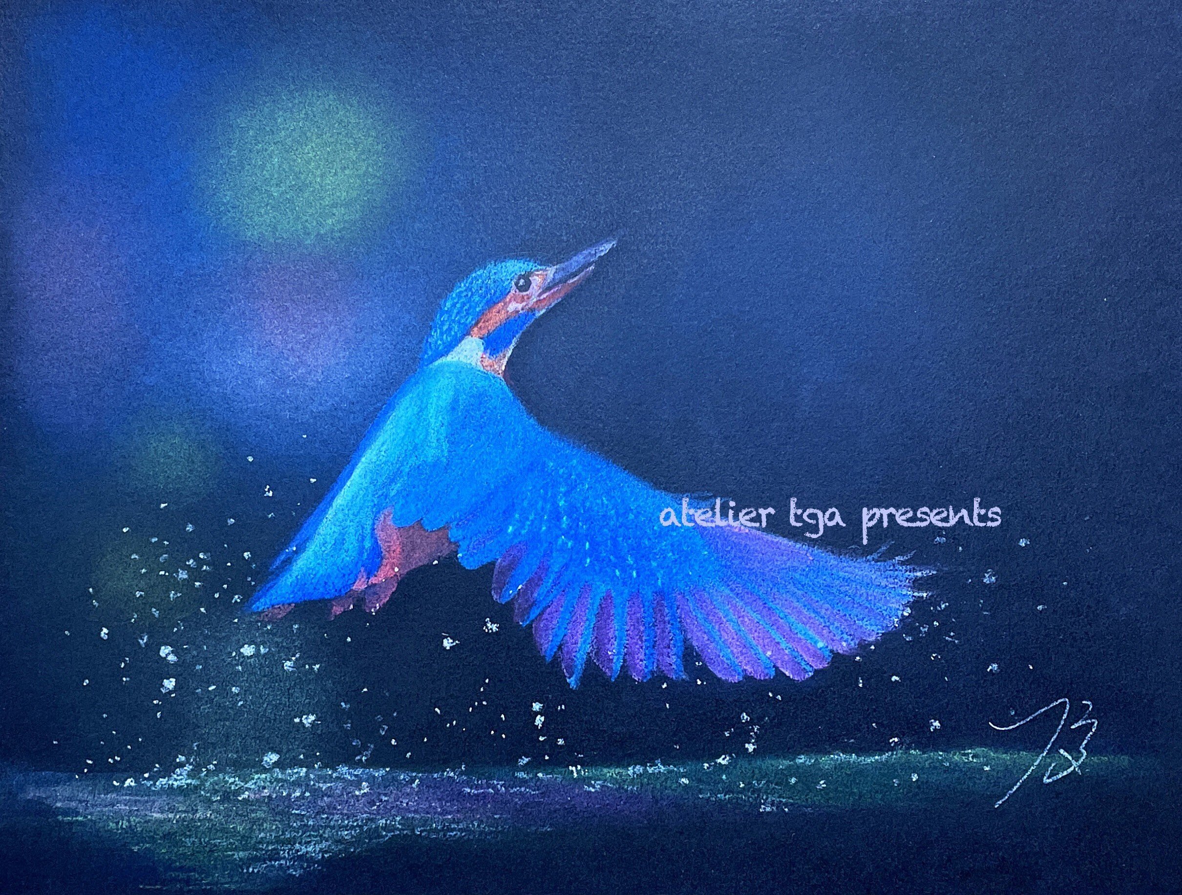 パステル画作品集]鳥にも色々ありまして｜てぃーが Pastel Artist