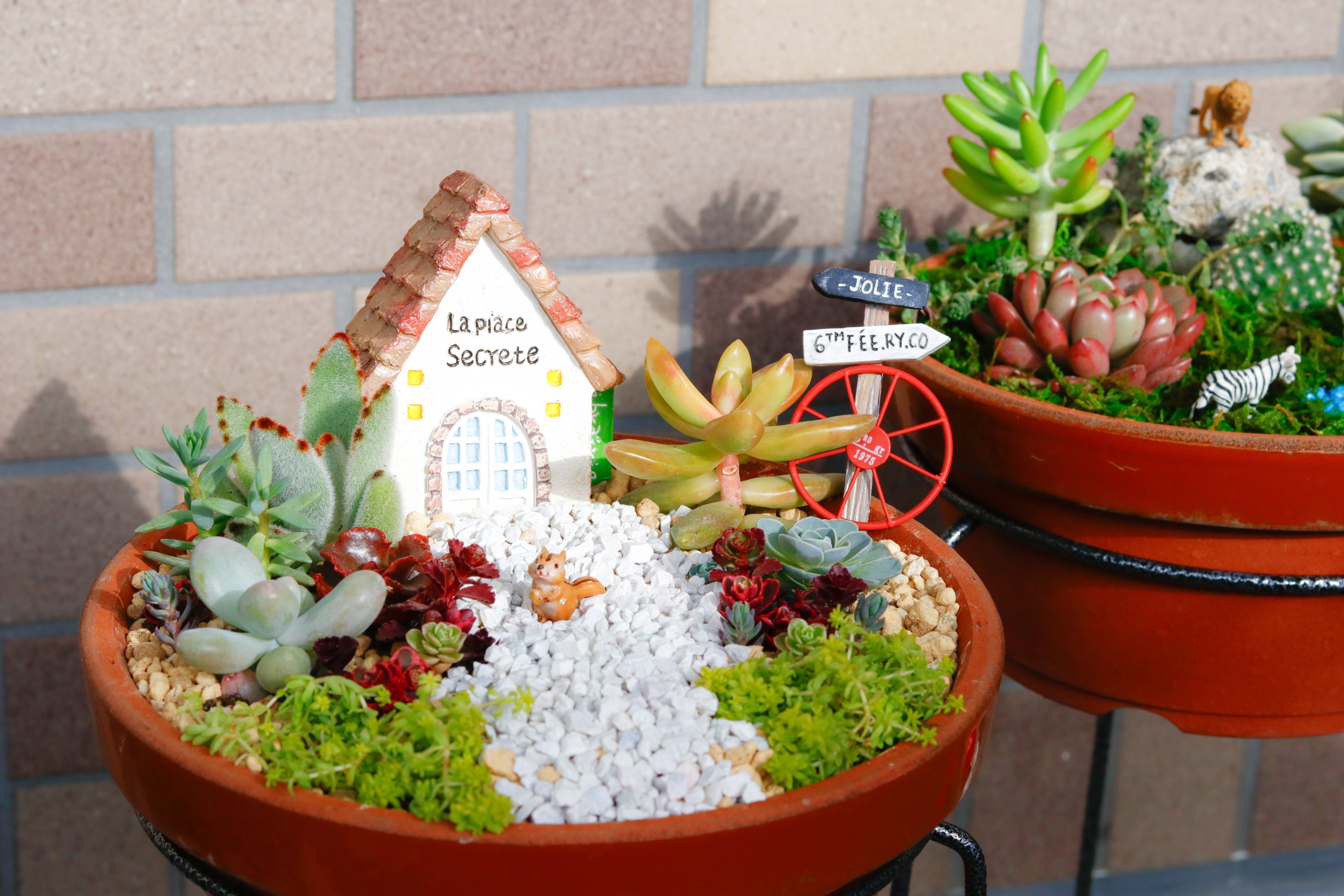 箱庭ミニチュアガーデンがおもしろい｜Jasmin