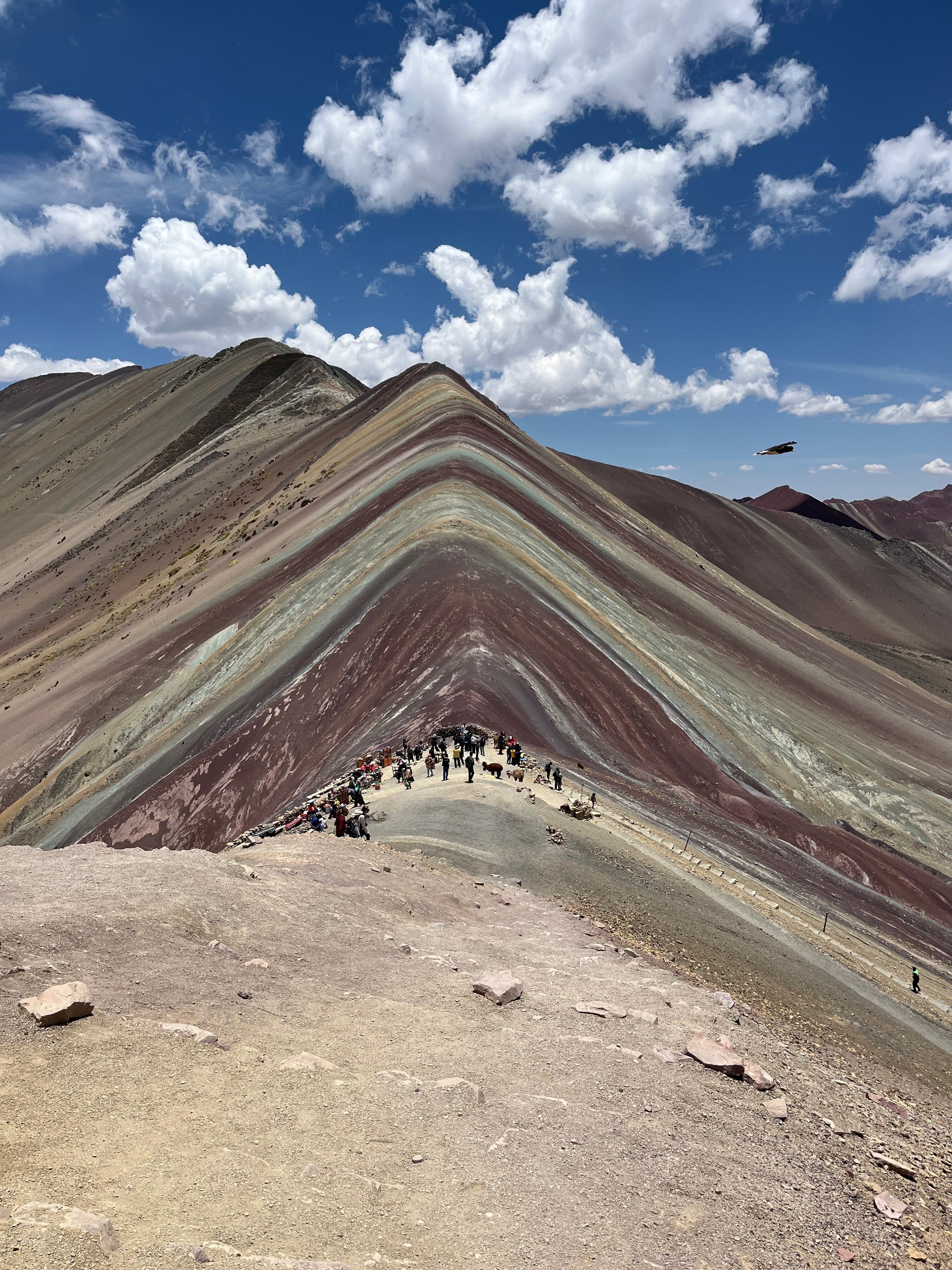 レインボーマウンテンに挑む｜sakura shina