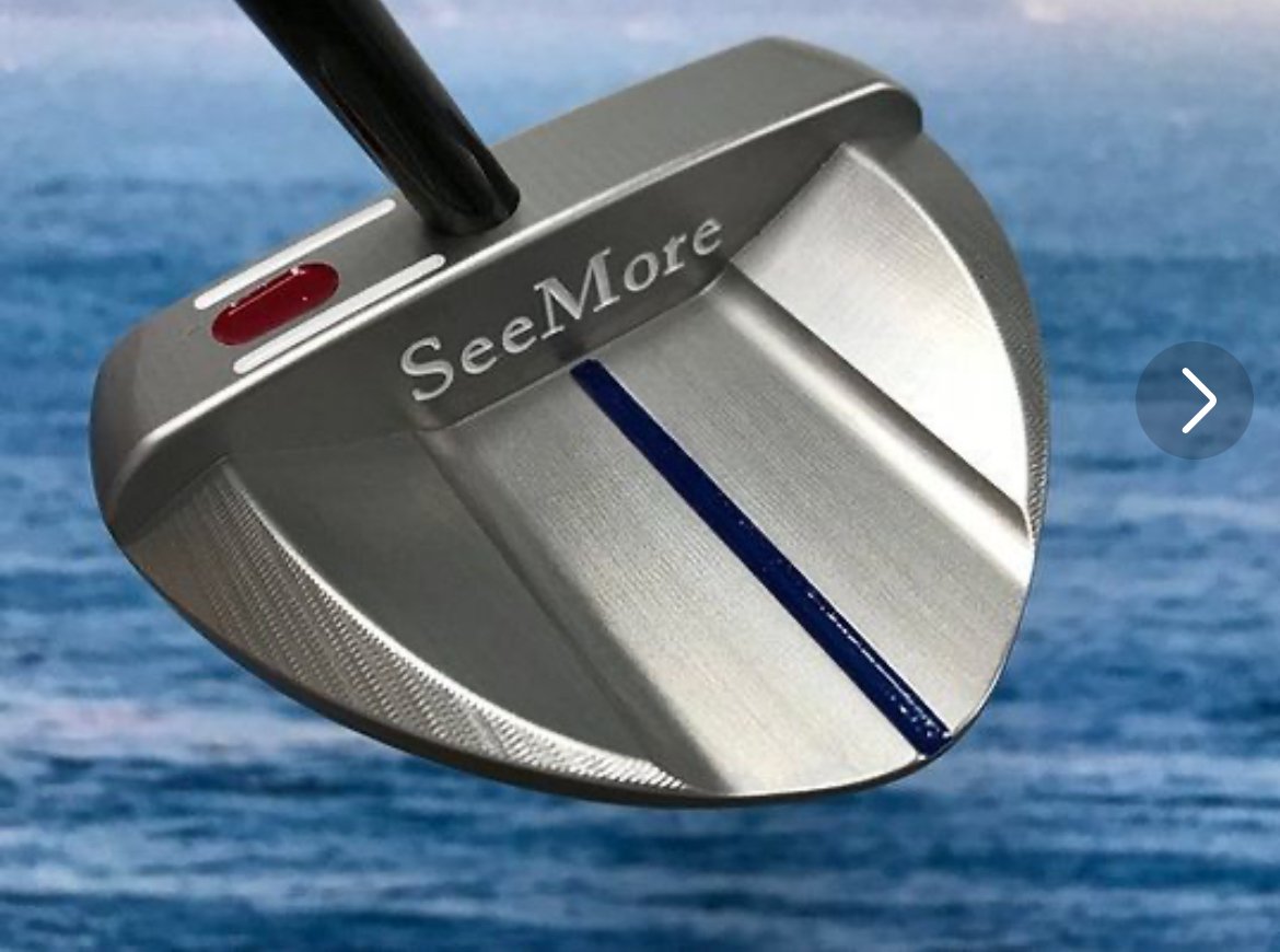 ☆kjさん専用☆SeeMore☆シルバーバック プロトタイプB2 パター ☆kj