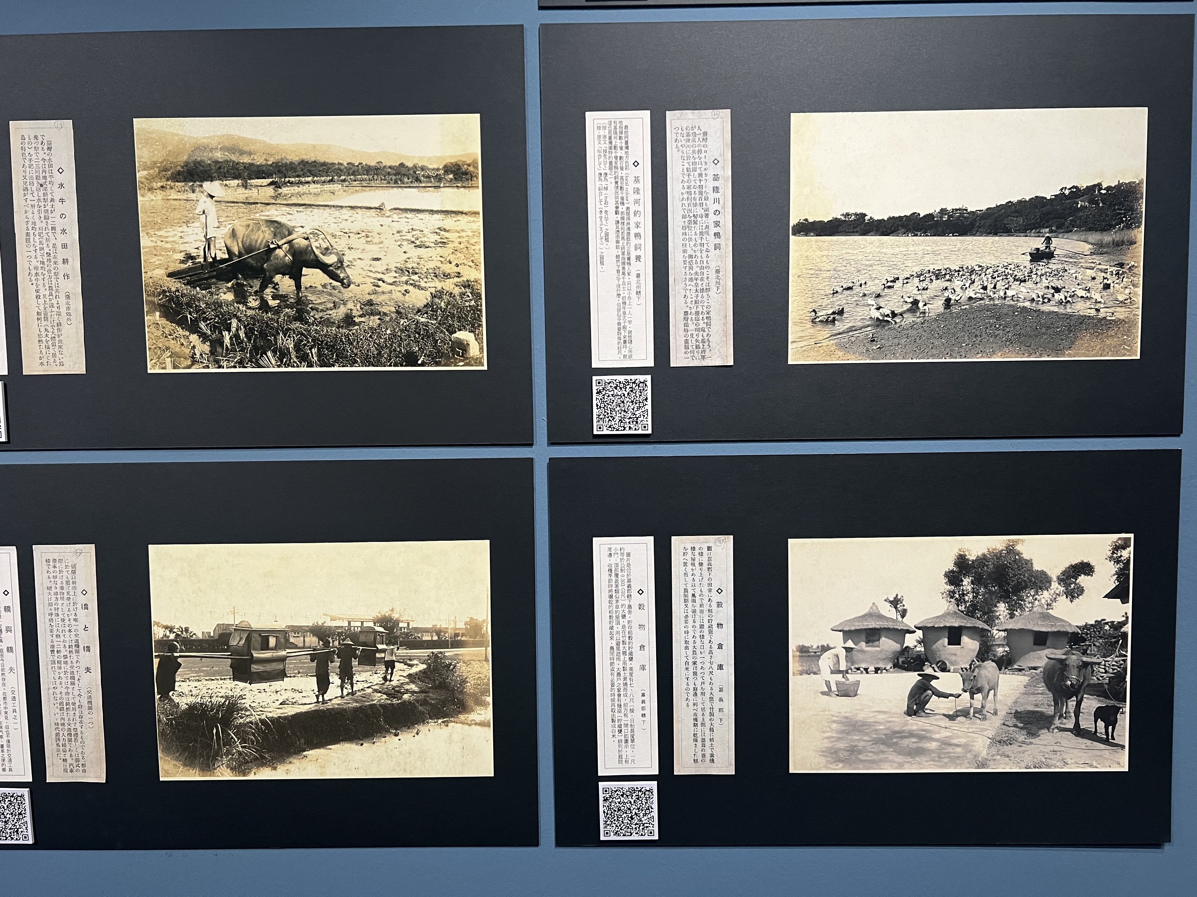 日本統治時代の台湾で、統治や開発のために記録された写真資料を展示