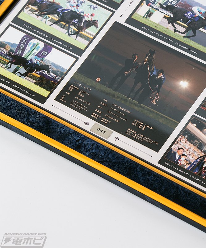 GI6勝で2年連続JRA年度代表馬となったイクイノックス号の引退記念