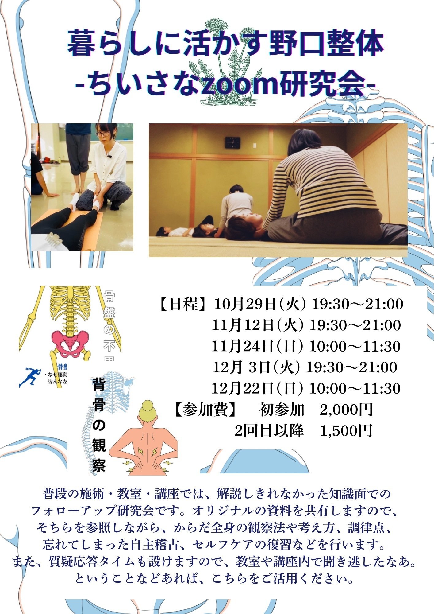 野口整体ちいさなzoom研究会のご案内｜晃天整体指導室 滝口晃帆