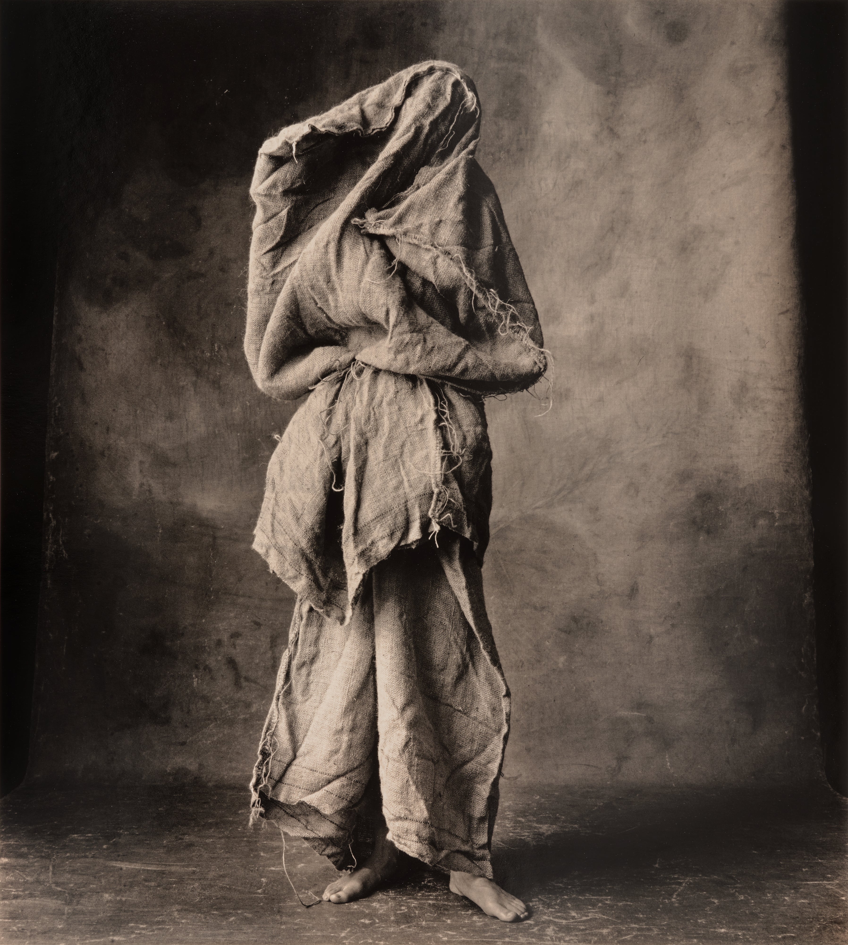 Irving Penn Visual Language: The Art of Irving Penn