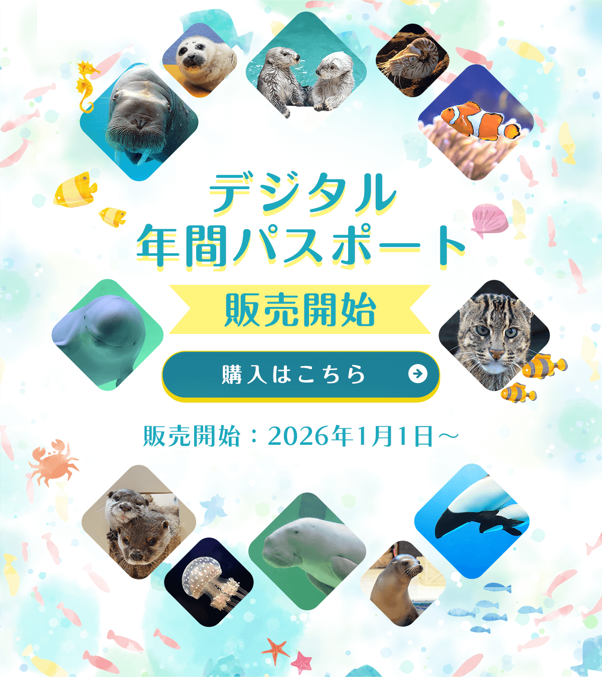 鳥羽水族館 公式サイト