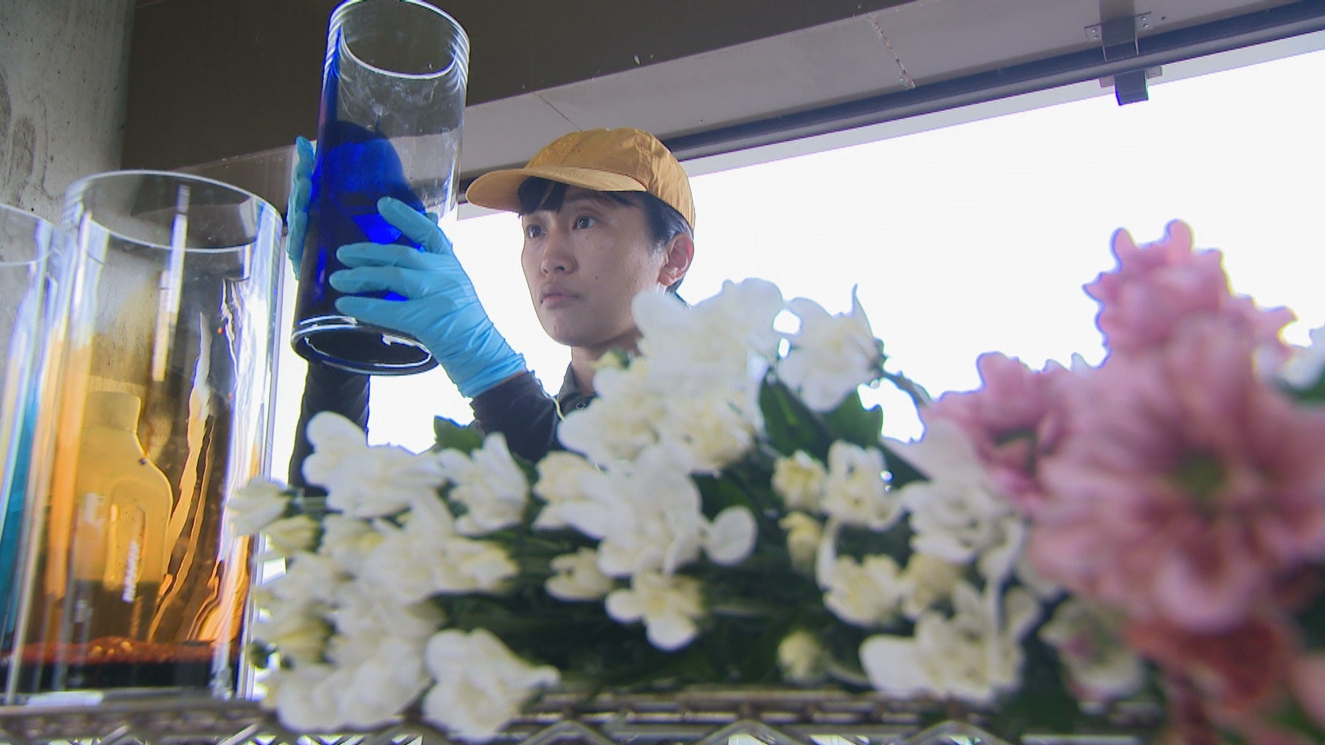 華やかに進化！魅惑の染め菊 - RKB毎日放送