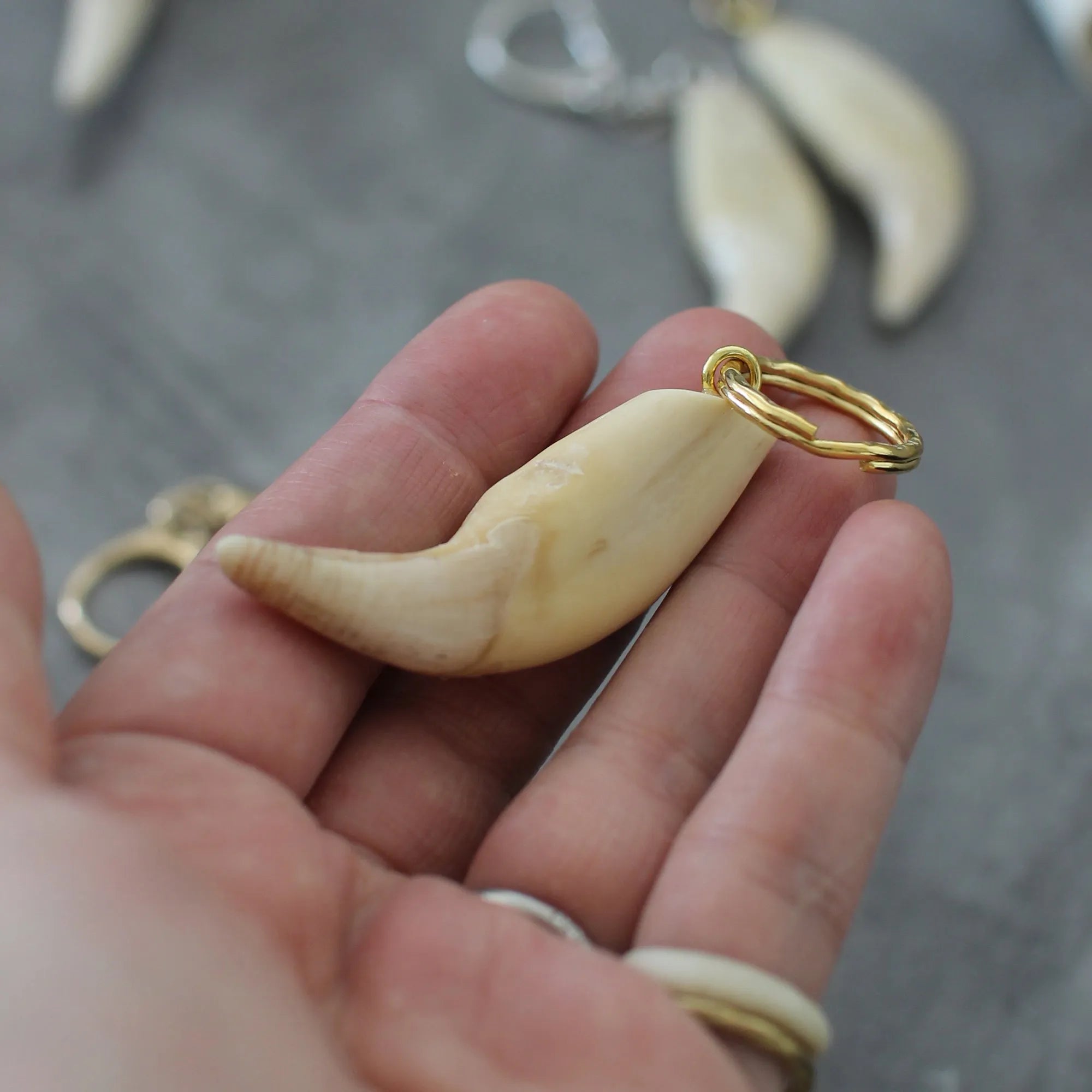 獣 - kemono - キーホルダー（熊の牙）／kemono-ke – アピスとドライブ