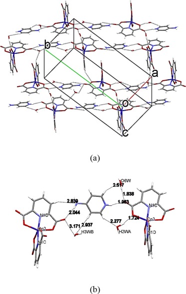 Study on electrochemical behavior and in vitro anticancer effect