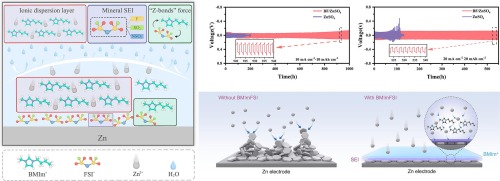 The synergistic effect induced by “Z-bond” between cations and
