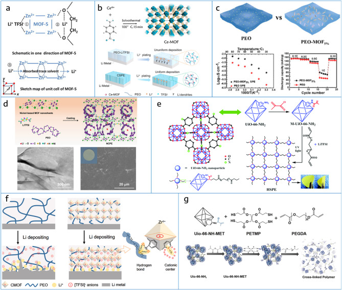 Insights into tailoring composite solid polymer electrolytes for