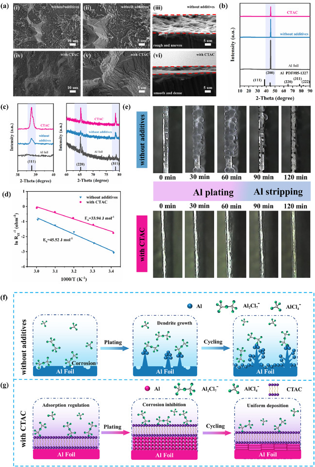 Dynamic molecular adsorption interface strategy for stable