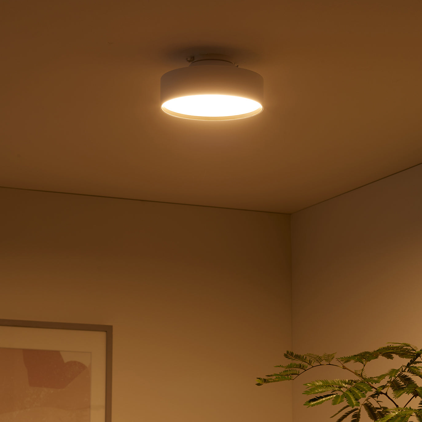 Glow mini LED-ceiling light｜ARTWORKSTUDIO公式