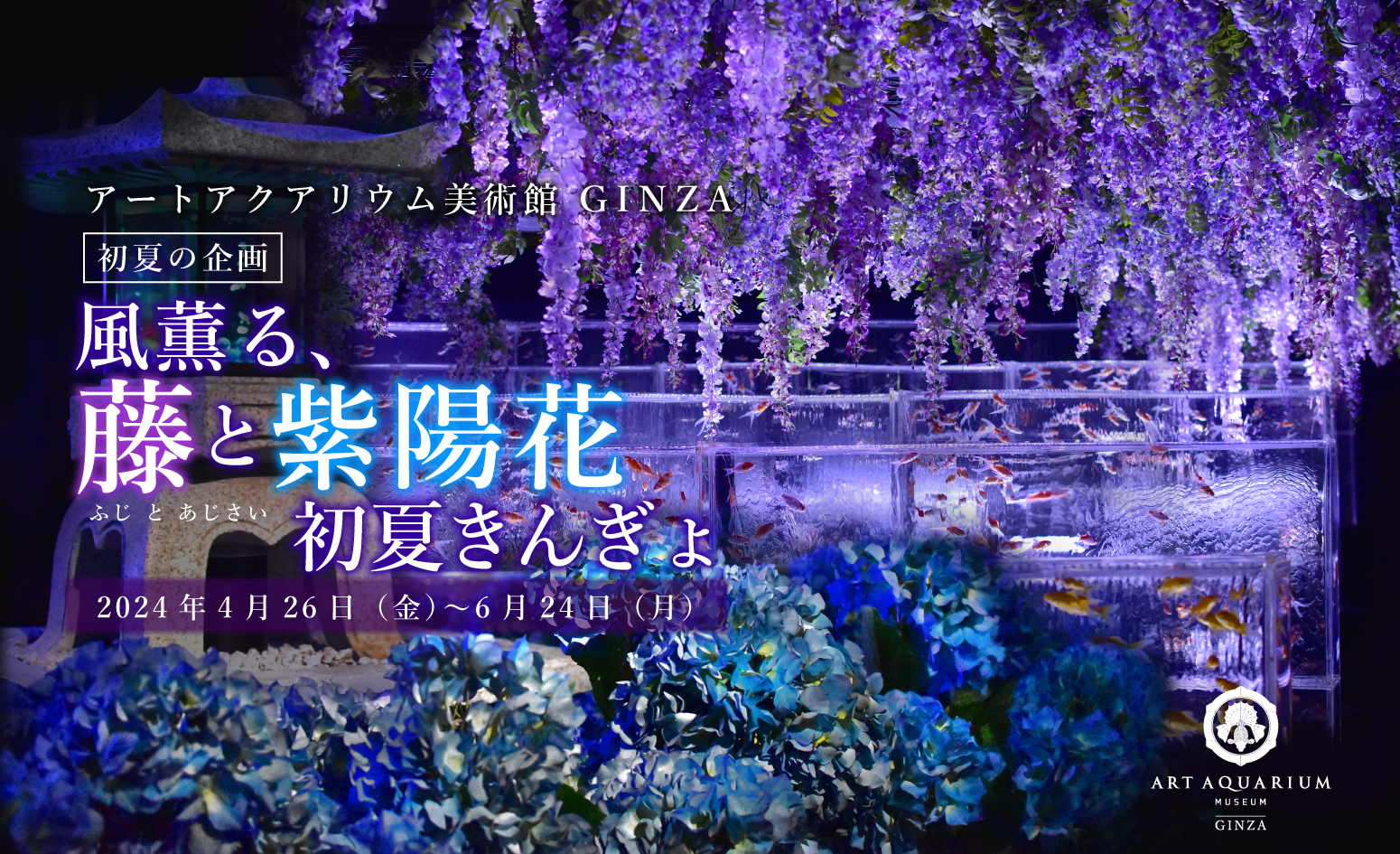 藤と紫陽花が彩る初夏ならではの風情が金魚泳ぐ館内を幻想の“艶”空間に