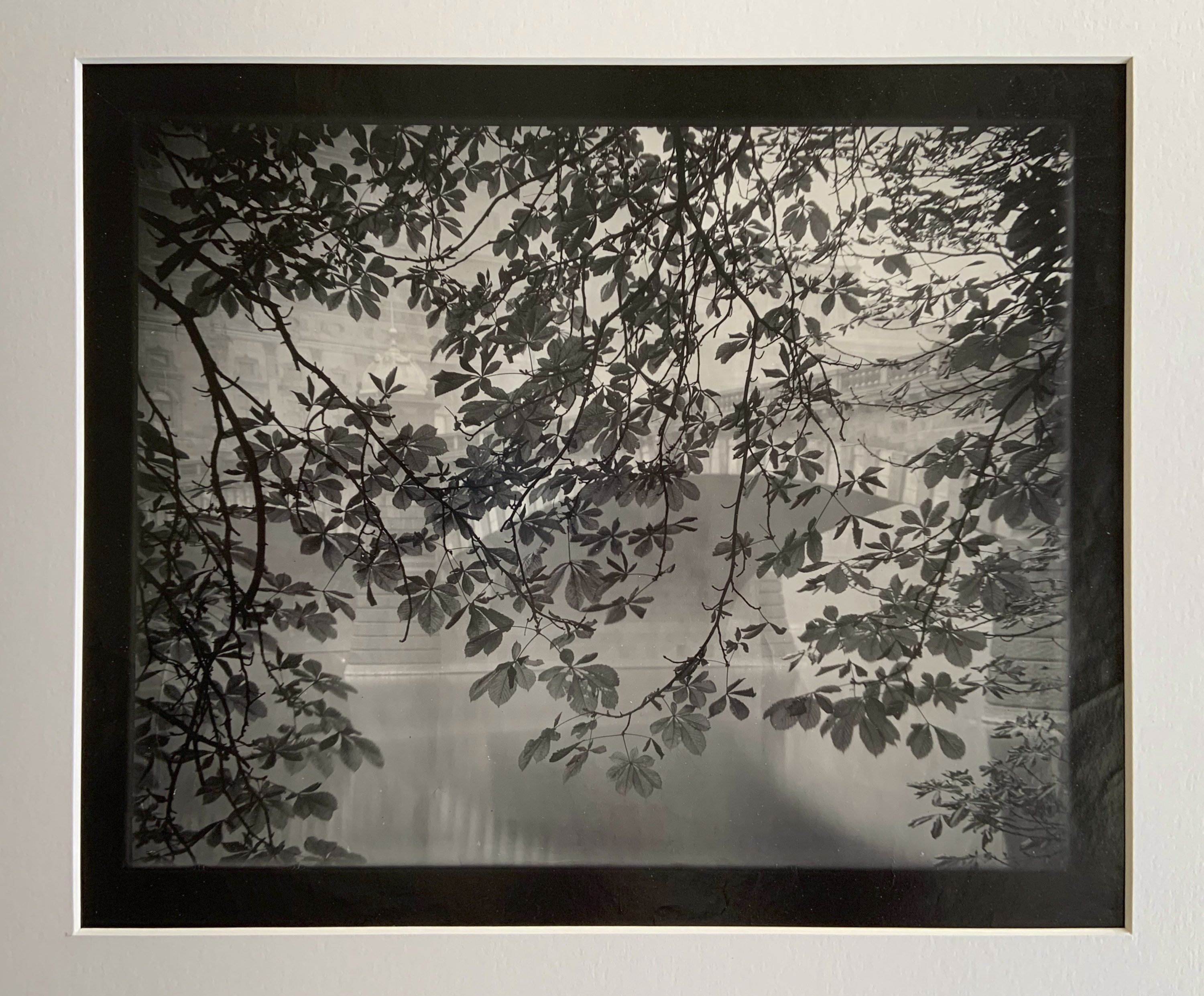 Josef Sudek archive at u(p)m The Museum of Decorative Arts, Prague