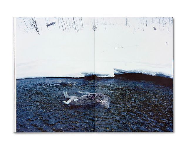 TRAILS / ホンマタカシ Takashi Homma ON READING Online Shop