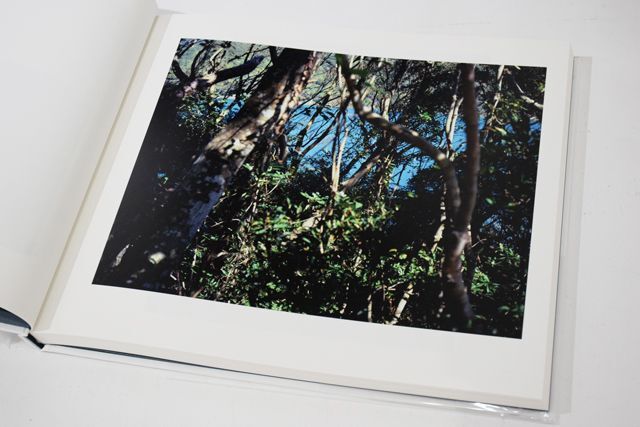 見果てぬ海 / 田川基成 ON READING Online Shop