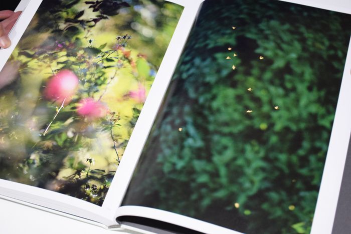 CLOUD PHYSICS / TERRI WEIFENBACH ON READING Online Shop