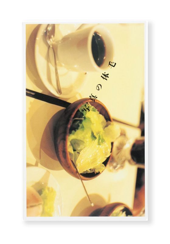 写真の体毛 / 佐内正史 ON READING Online Shop