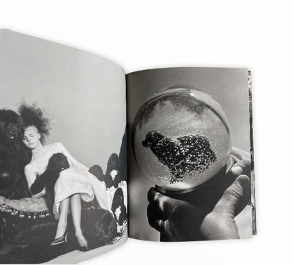 GENTLE GIANTS BY BRUCE WEBER – ARTRANDOM