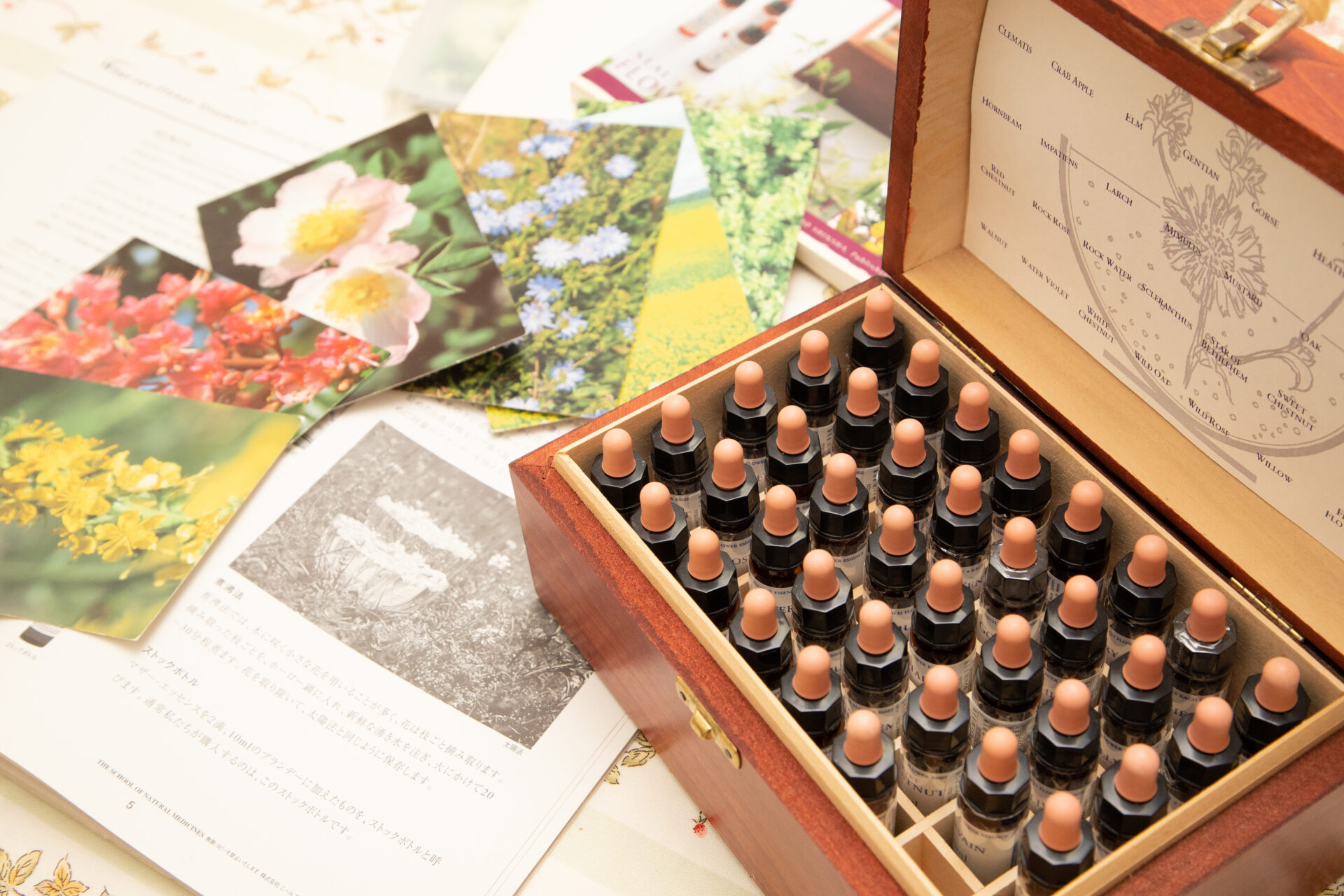 フラワーエッセンス講座 | リラクゼーションエステ＆スクールSoin