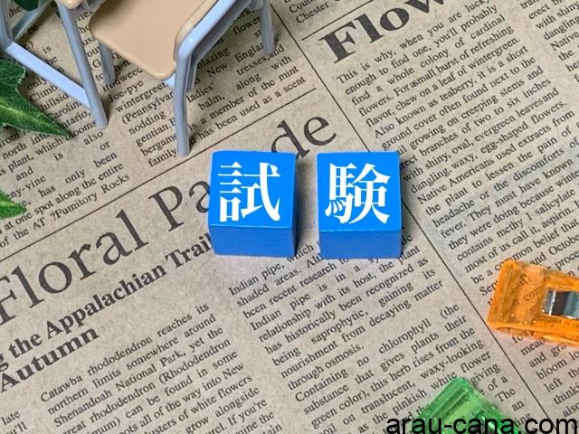 本科教室ステージⅡ】学習力育成テスト第9回 - こんなこともアローカナ